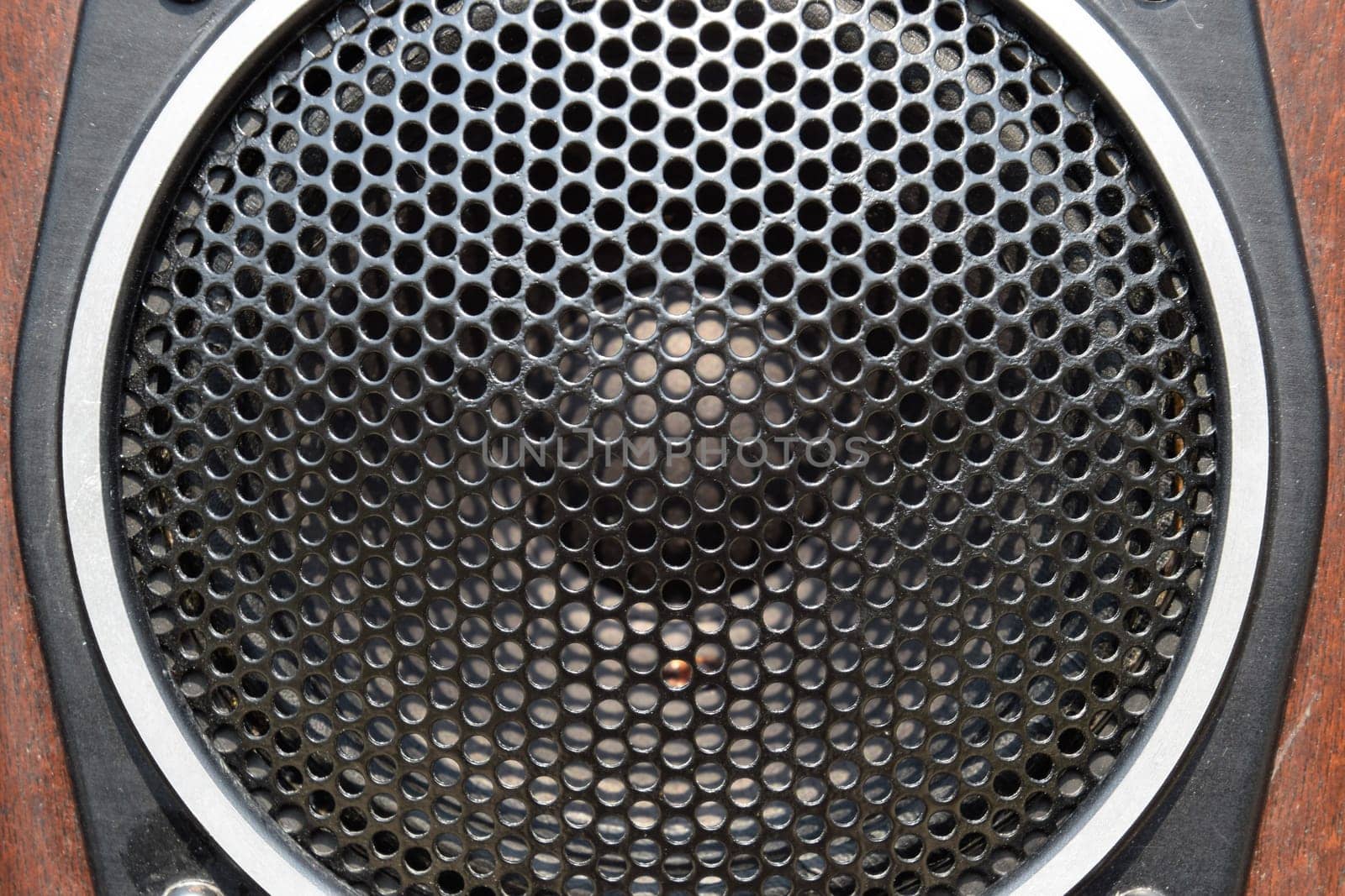 Low-frequency speaker of vintage Soviet acoustics. Dynamics 30gd-2