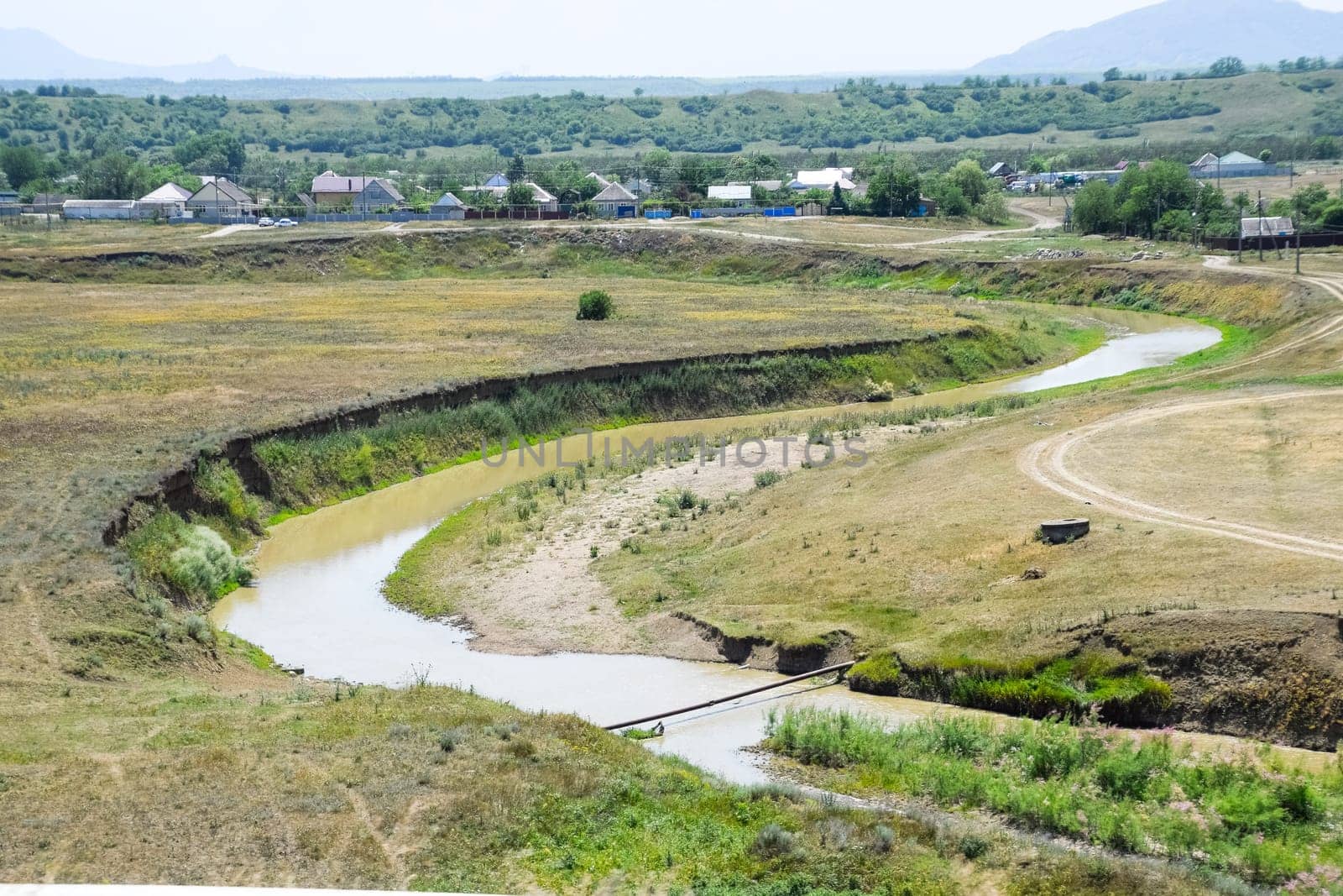 A small river is a watering hole for livestock and cows.