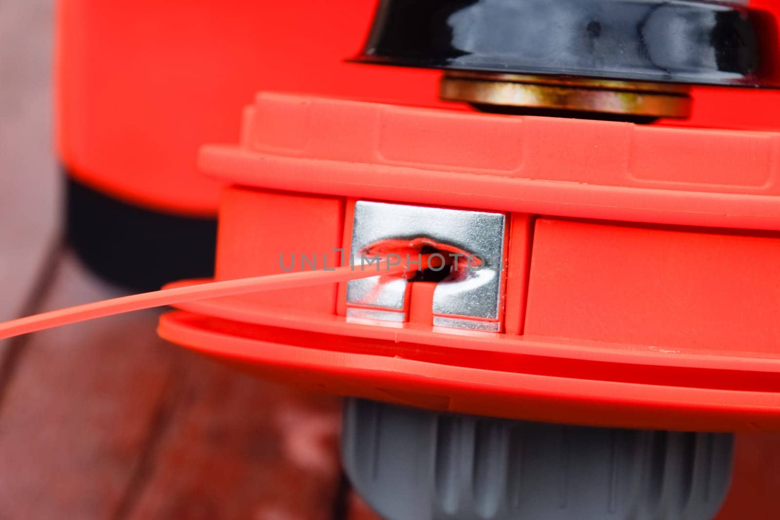 Head with fishing line for mowing grass. Gas trimmer. Trimer gascosis with a leaf for mowing grass and shrubs.