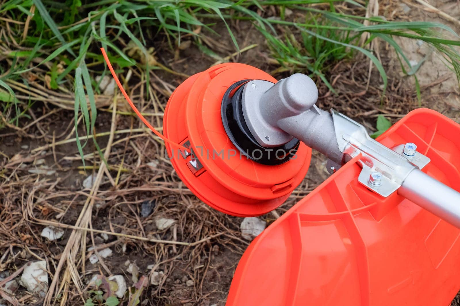 Head with fishing line for mowing grass. Gas trimmer. Trimer gascosis with a leaf for mowing grass and shrubs.