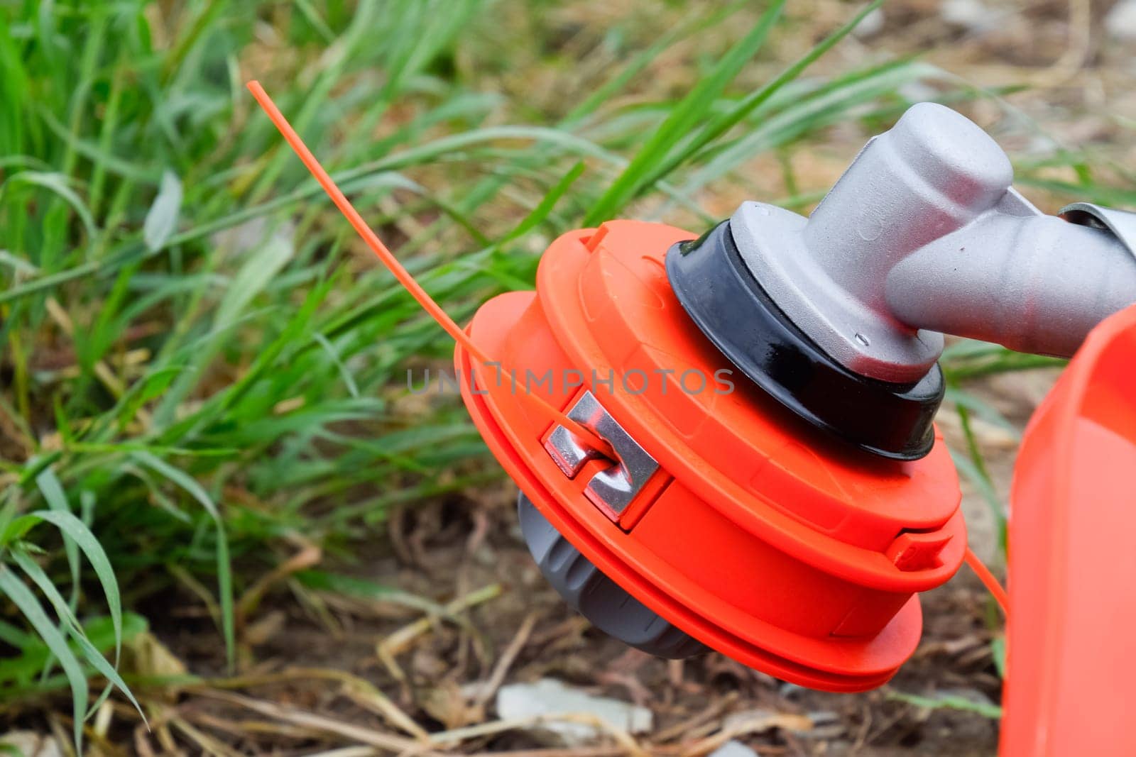 Head with fishing line for mowing grass. Gas trimmer. Trimer gascosis with a leaf for mowing grass and shrubs.
