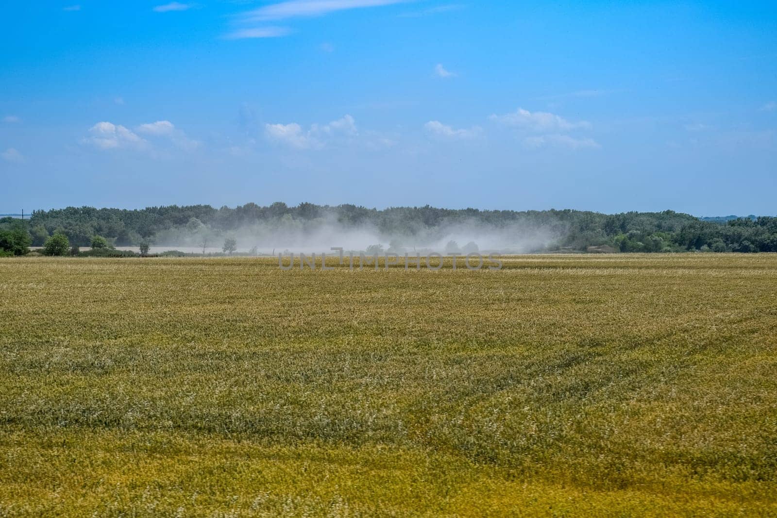 Dust from plowing soil with a plough. field of rice. rural landscape