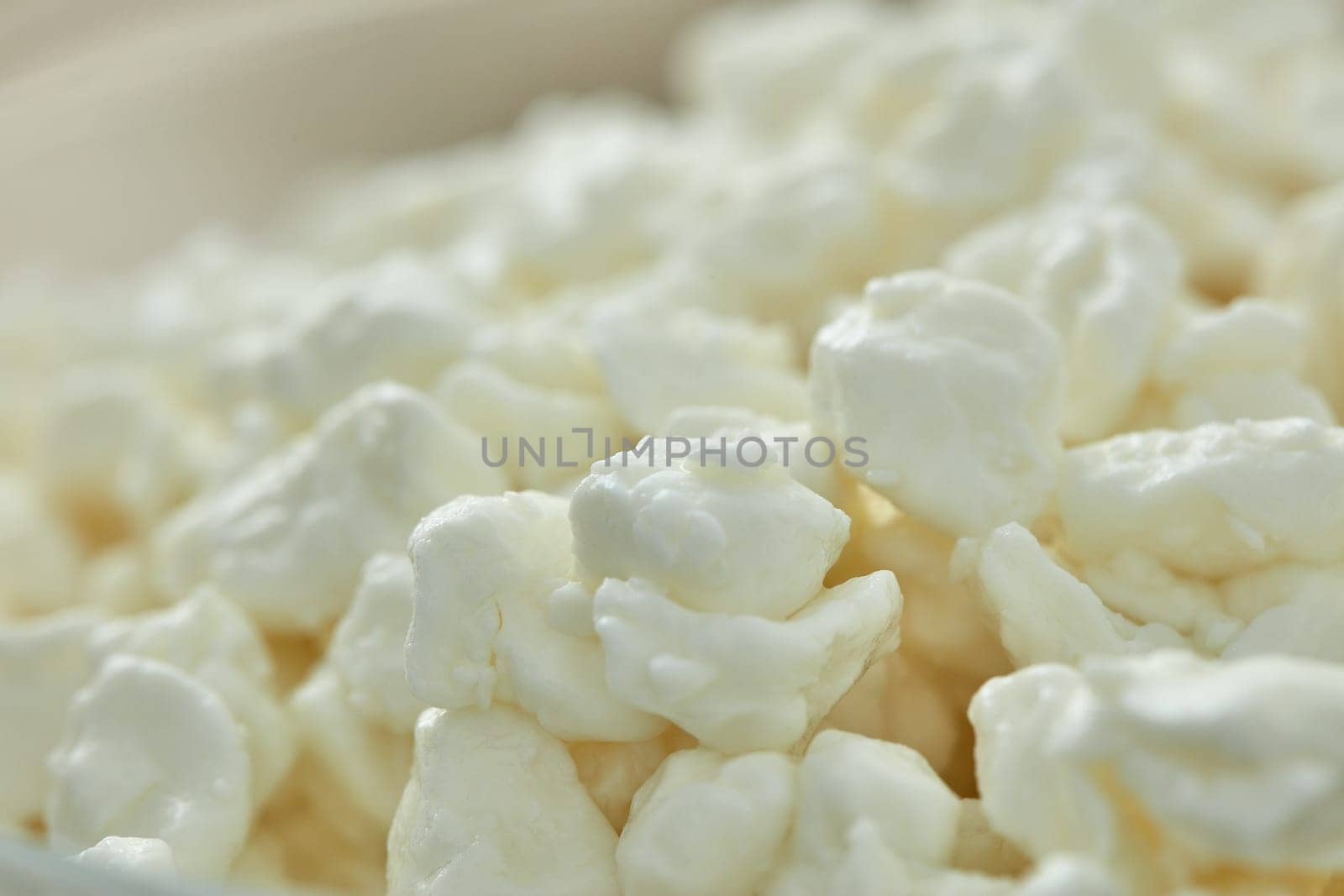 Background from fresh village cottage cheese. Healthy food. Close- up. Dietary product. Dairy product. Fitness food