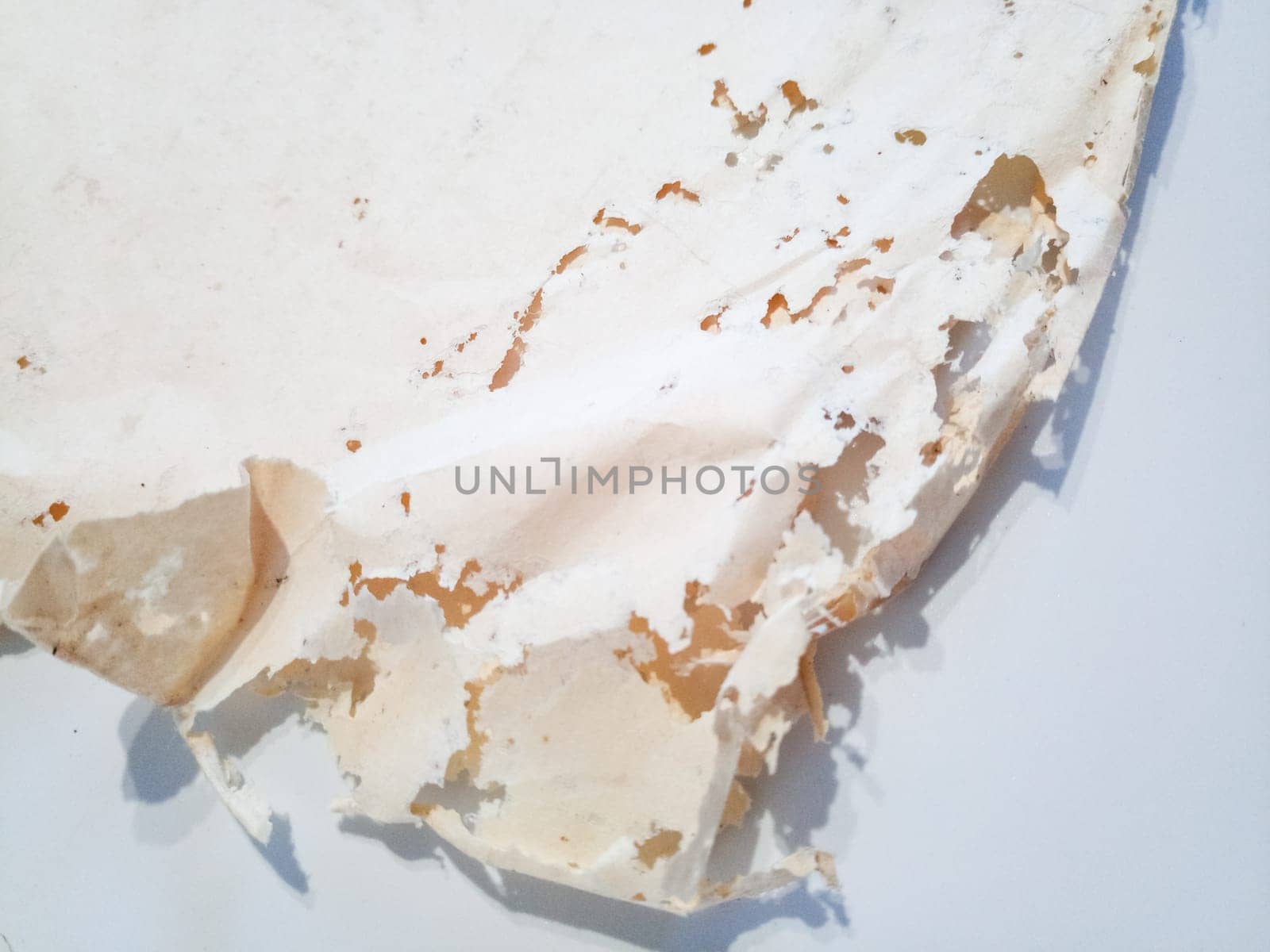 Paper swallowed with silverfish. Traces of wrecking silverfish on vinyl envelopes. lepisma