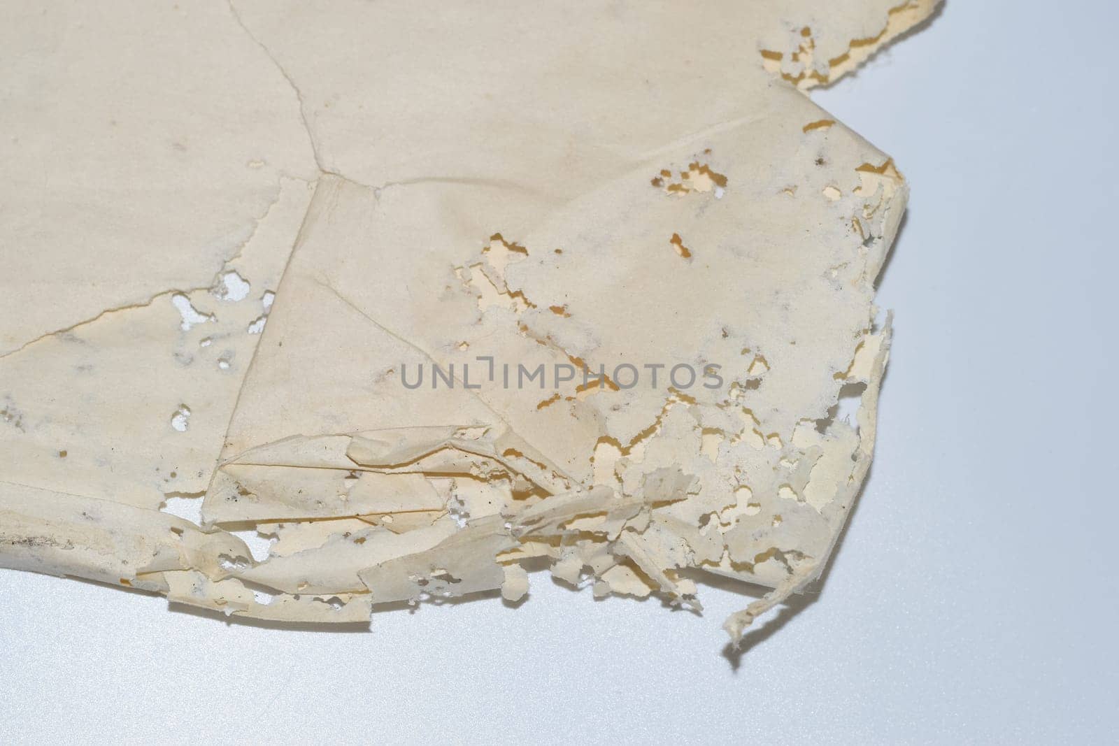 Paper swallowed with silverfish. Traces of wrecking silverfish on vinyl envelopes. lepisma