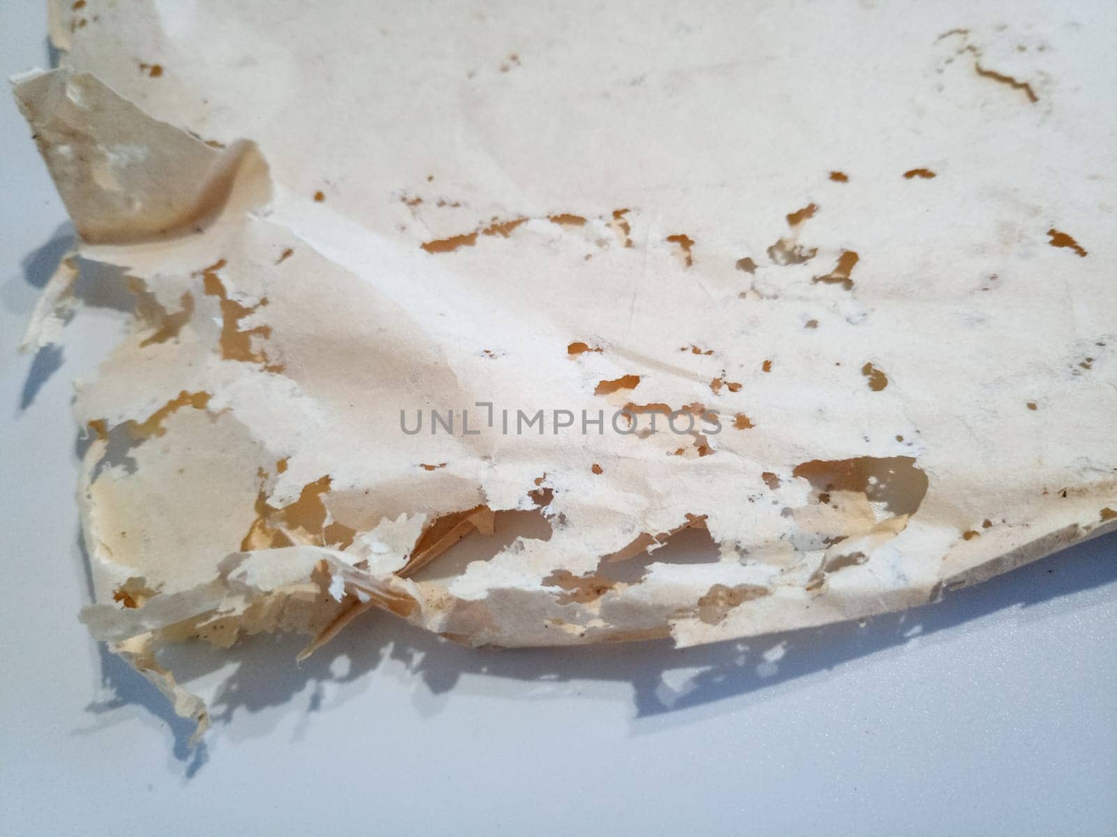 Paper swallowed with silverfish. Traces of wrecking silverfish on vinyl envelopes. lepisma