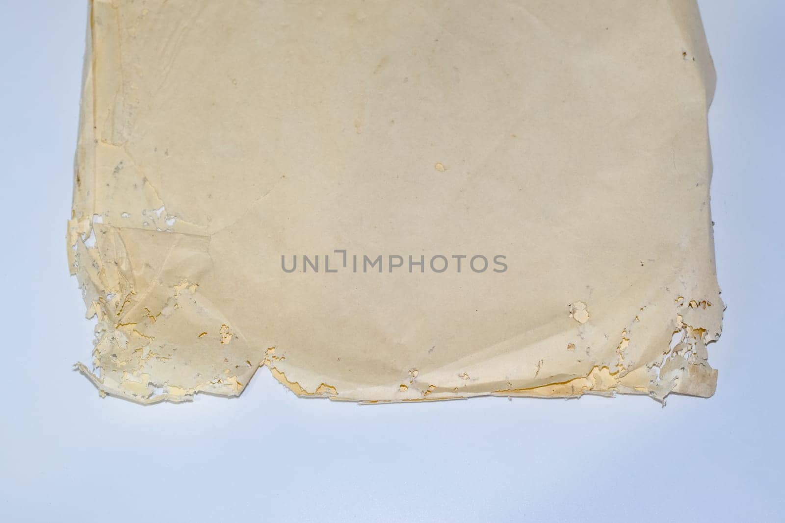Paper swallowed with silverfish. Traces of wrecking silverfish on vinyl envelopes. lepisma