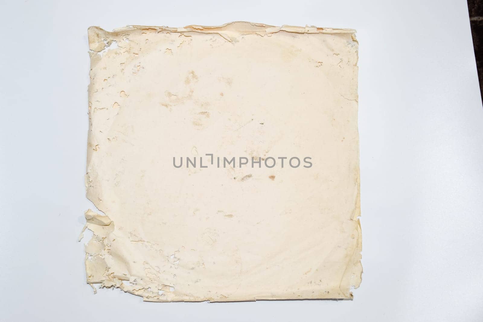 Paper swallowed with silverfish. Traces of wrecking silverfish on vinyl envelopes. lepisma