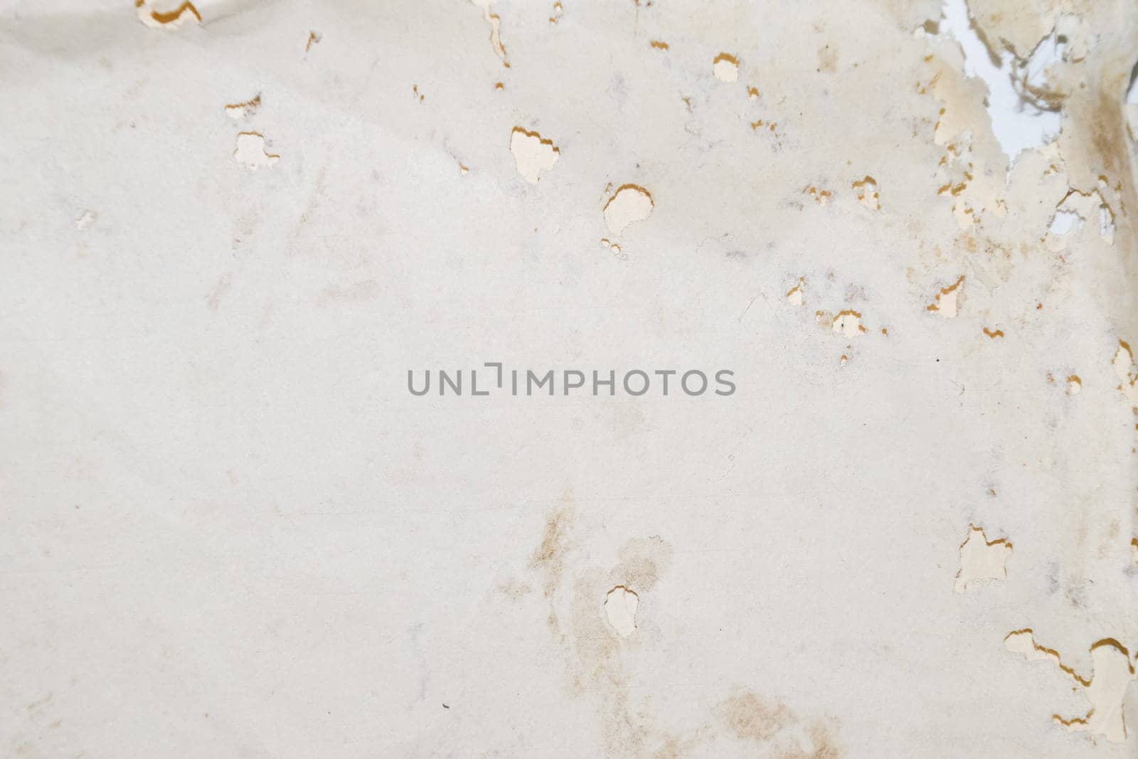 Paper swallowed with silverfish. Traces of wrecking silverfish on vinyl envelopes. lepisma