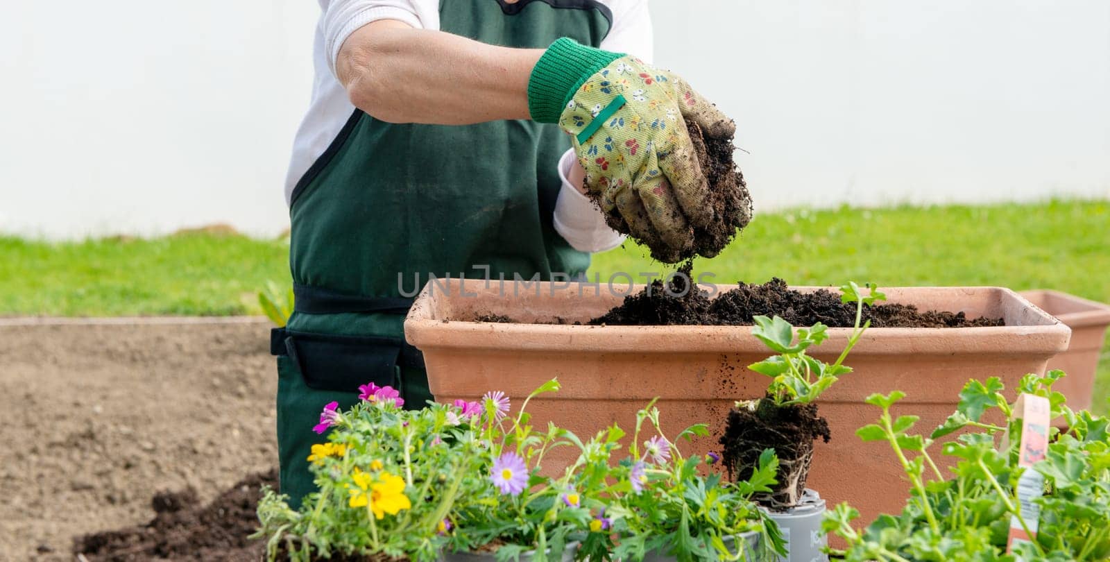 a close up of hands of woman potting flowers
