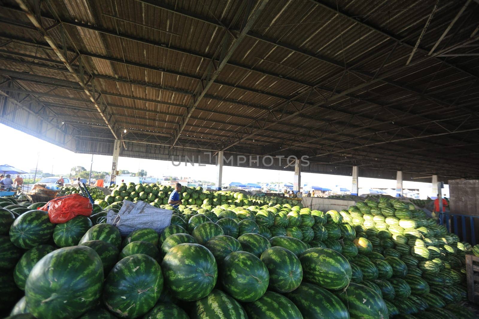 salvador, bahia / brazil - june 8, 2016: sale of watermelon in food distribution center in the city of Salvador.