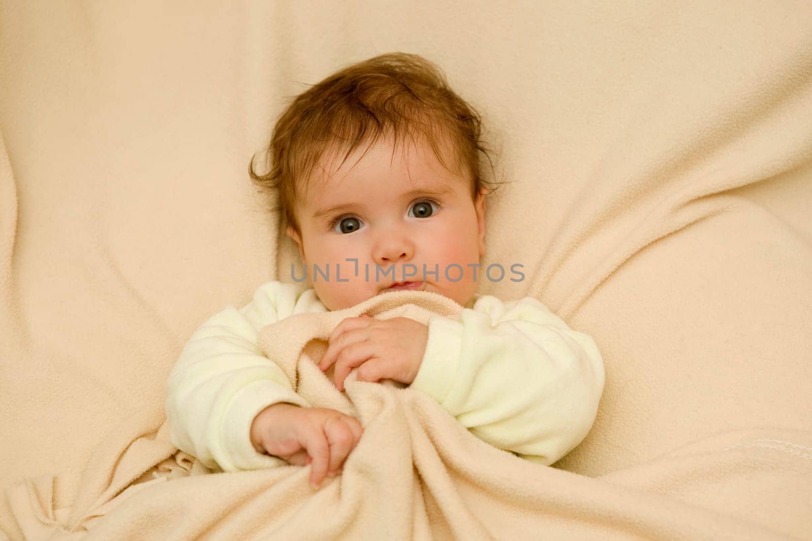 young baby portrait, studio picture
