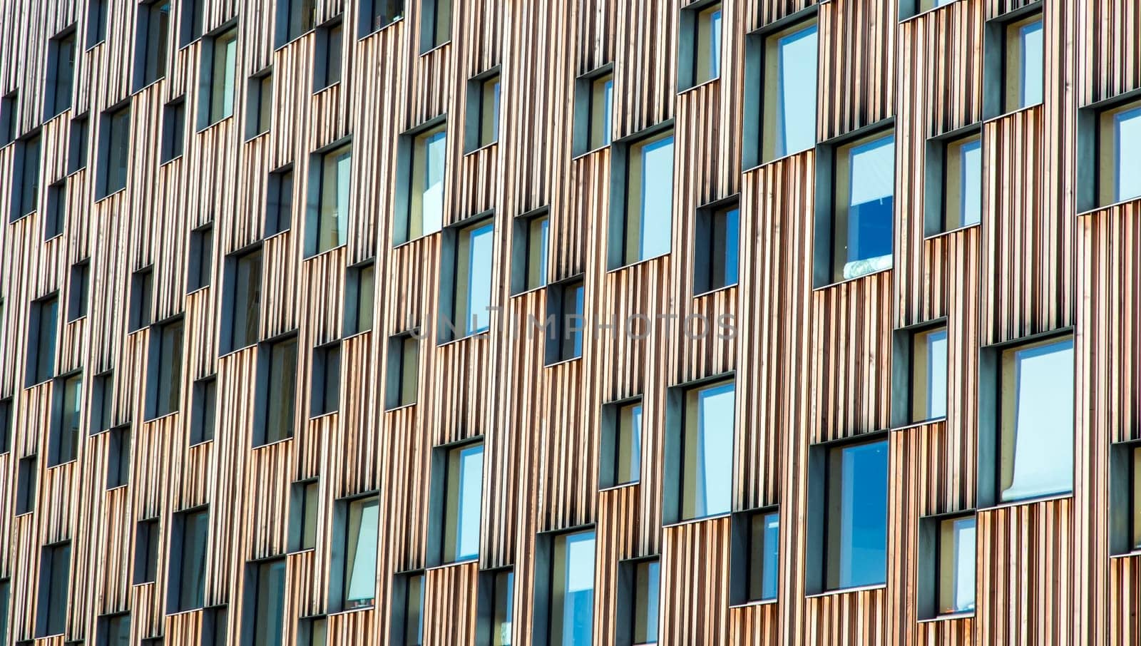Windows Covereing Building