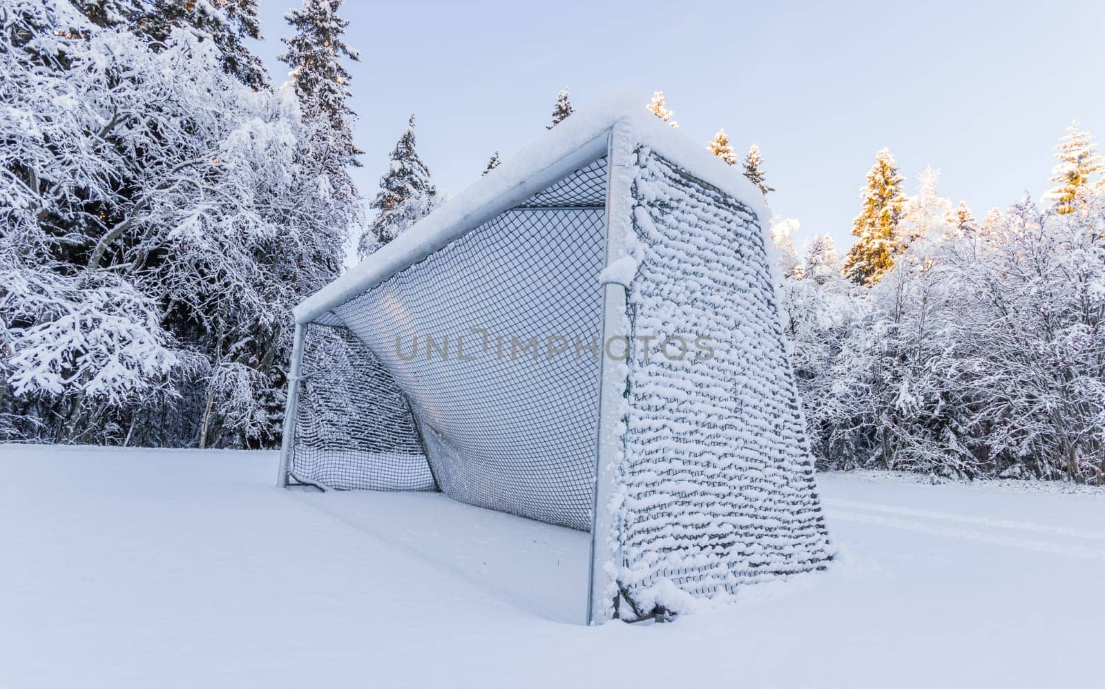 Soccer Goal Covered in Snow