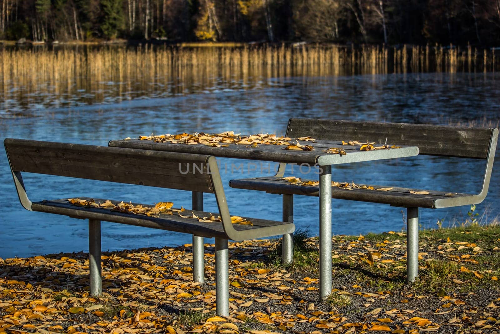 Table and Benches with Leaves