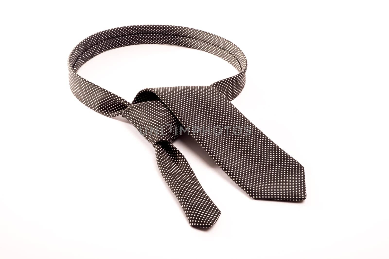 A black tie with white dots on a white background folded as if to make a tie knot around the neck.