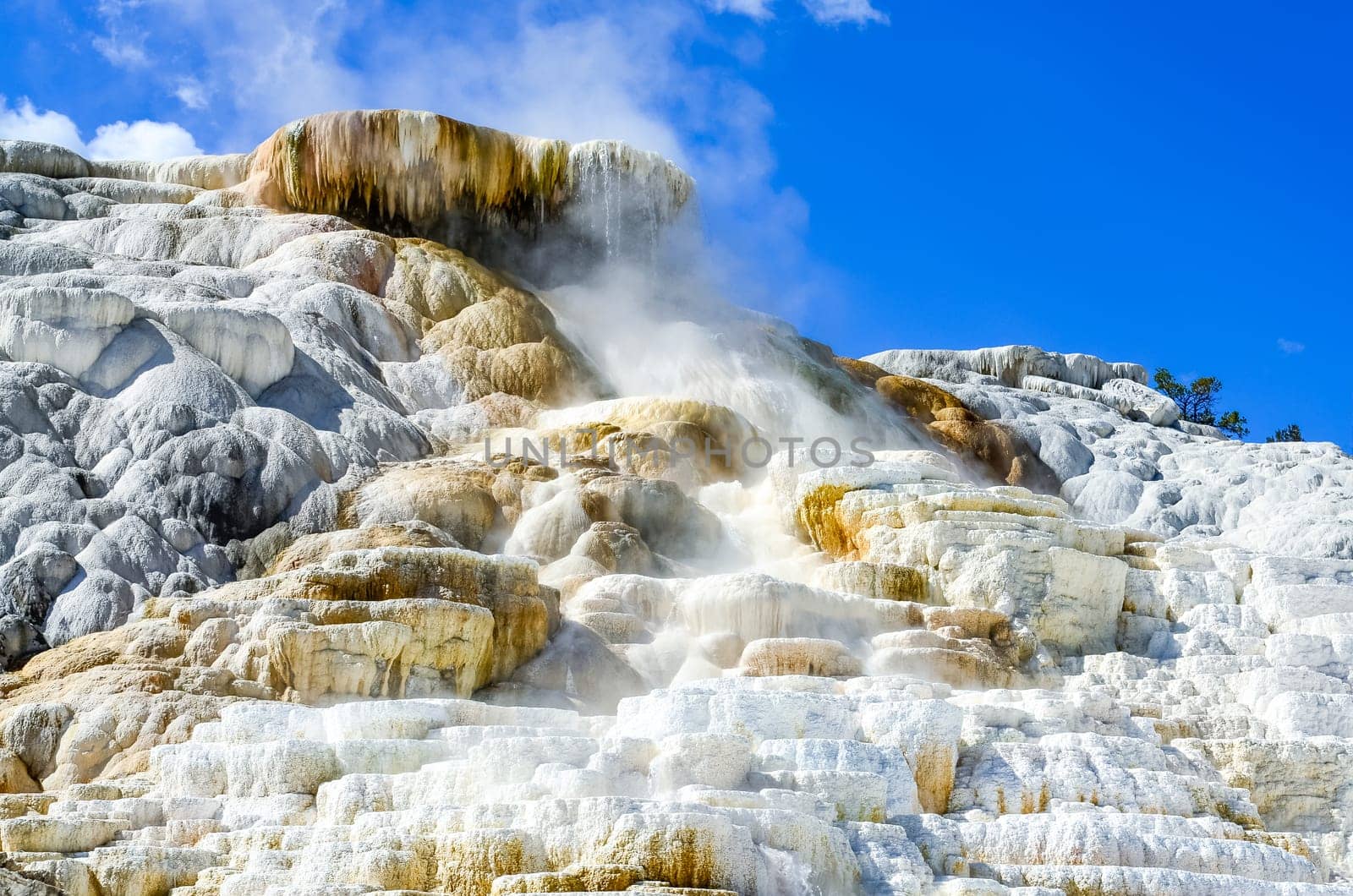 Detail view of geothermal land in Yellowstone NP, Wyoming, USA
