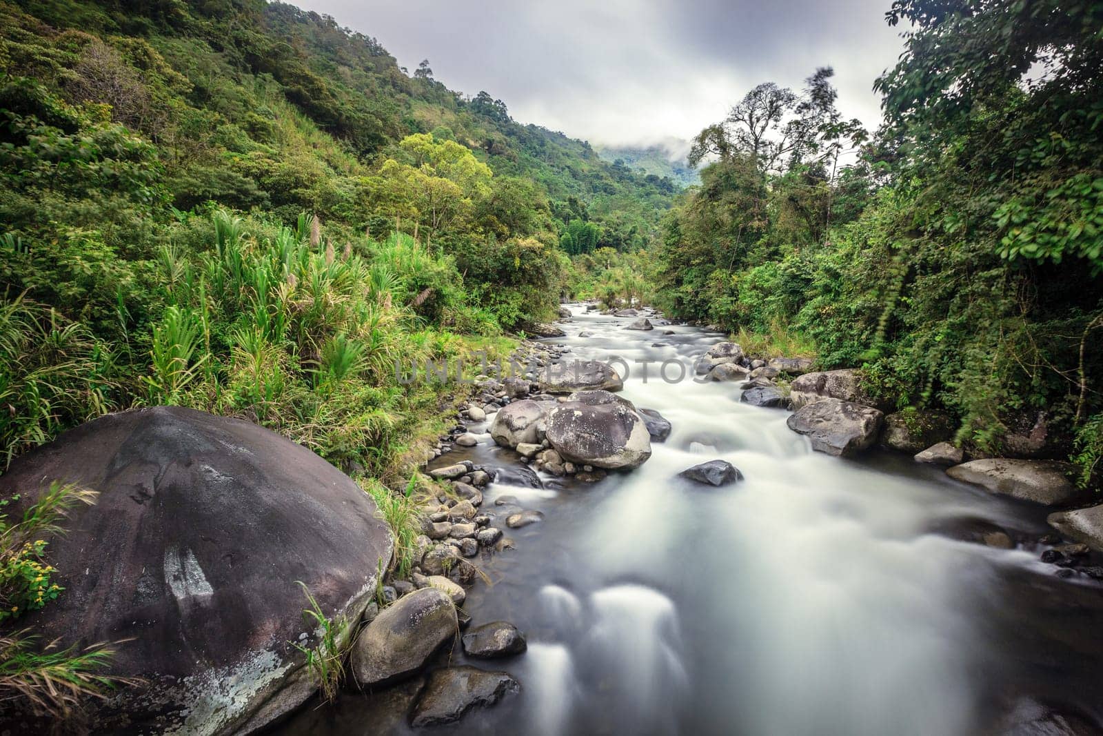 Long exposure image of a stream in cloud forest in Costa Rica
