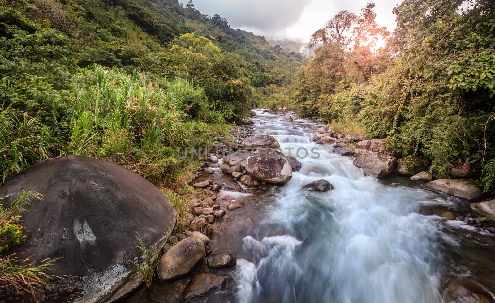 Long exposure image of a stream in cloud forest in Costa Rica