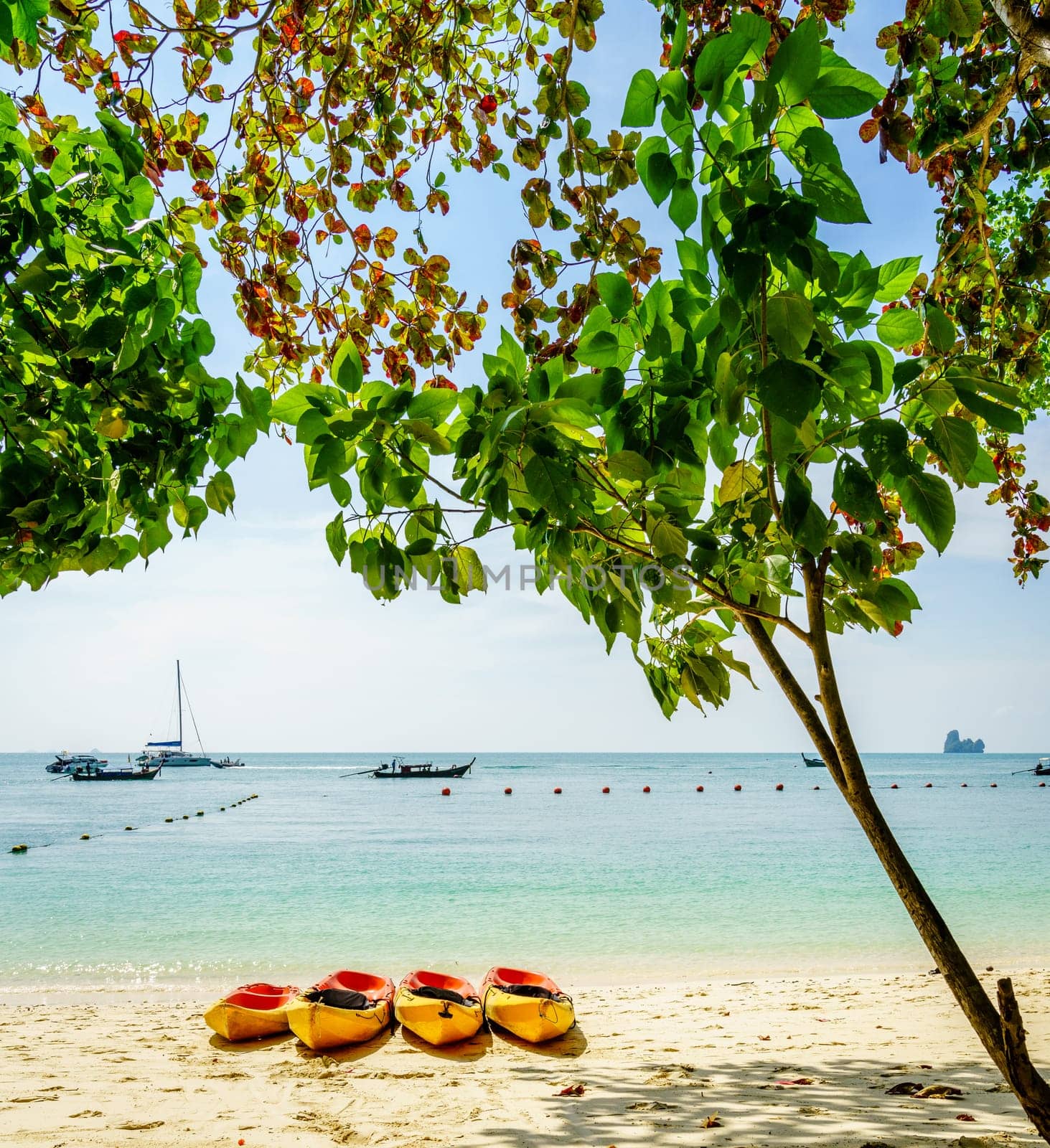 Kayaks on an empty beach on an island in Krabi, Thailand