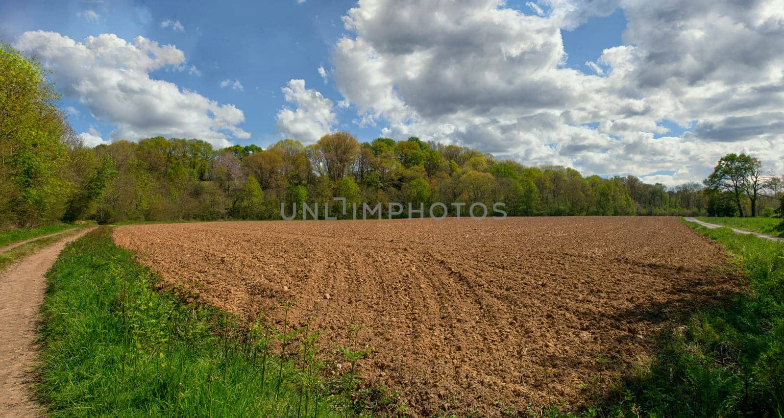 a plowed field and blue sky with clouds