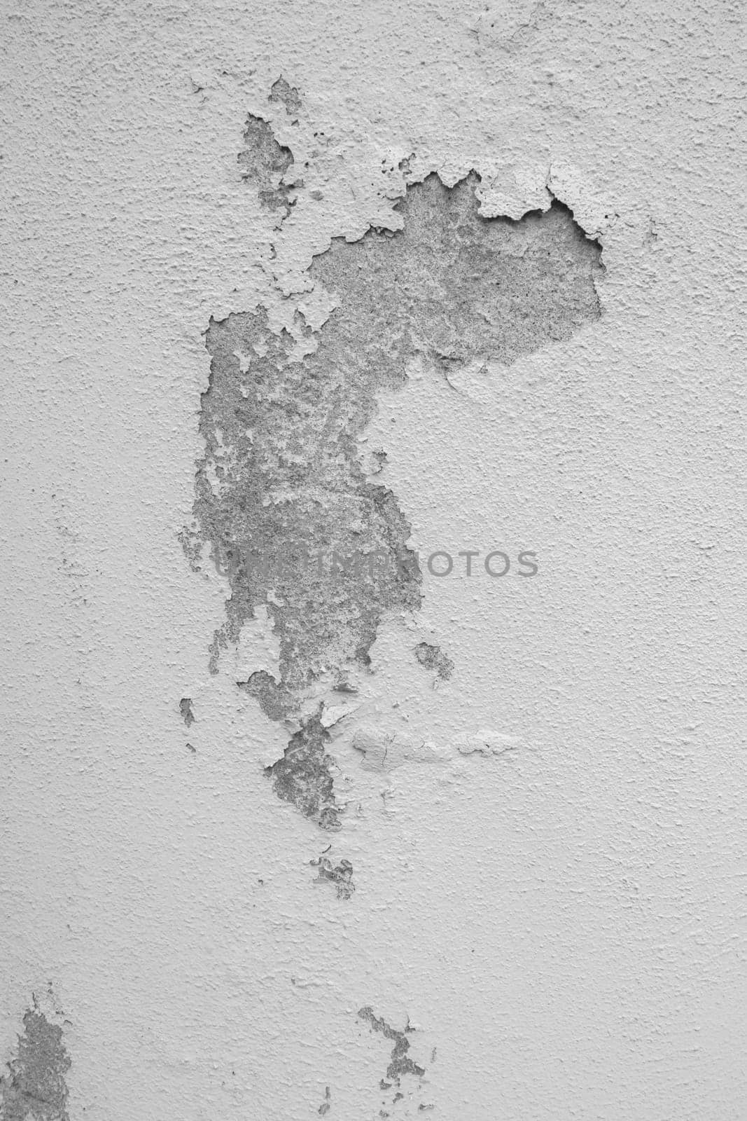 Gray and white peeling plaster. Abandoned wall. Ideal for backgrounds or concepts.