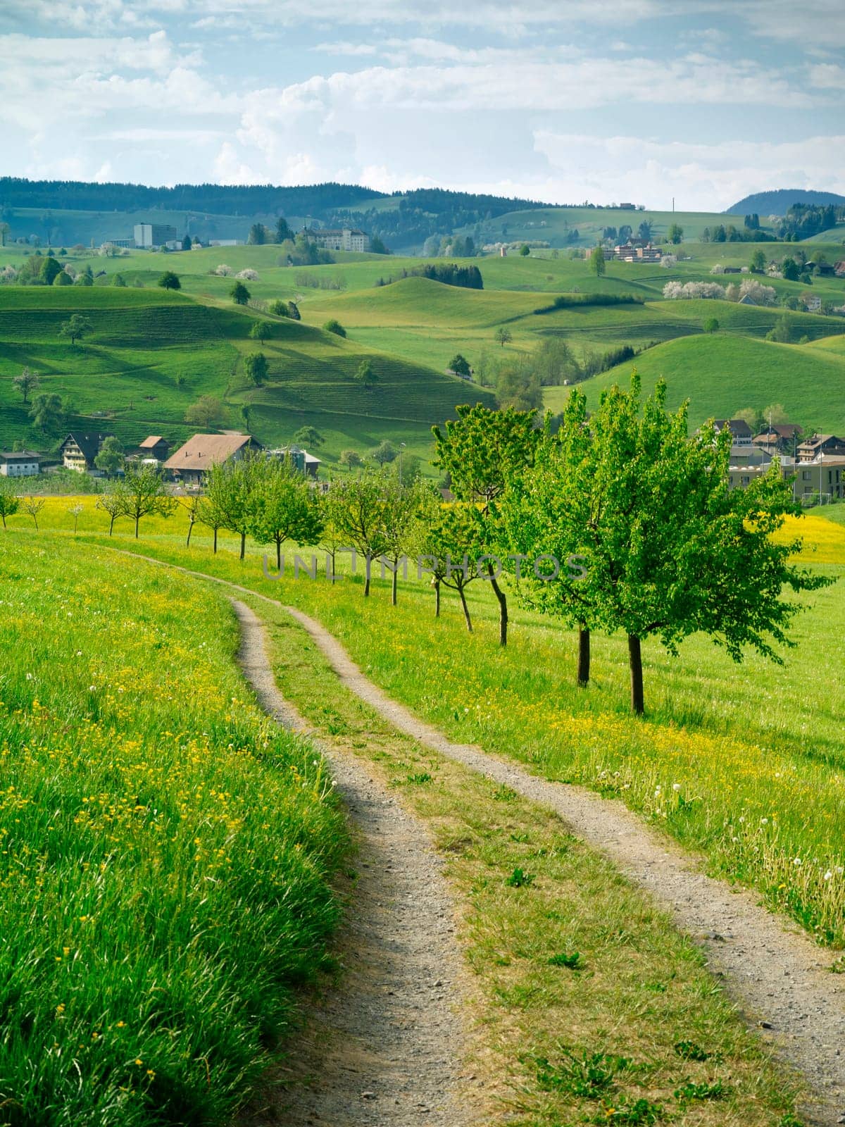 View of the rolling hills and beautiful countryside of Neuheim in the Canton of Zug, Switzerland.