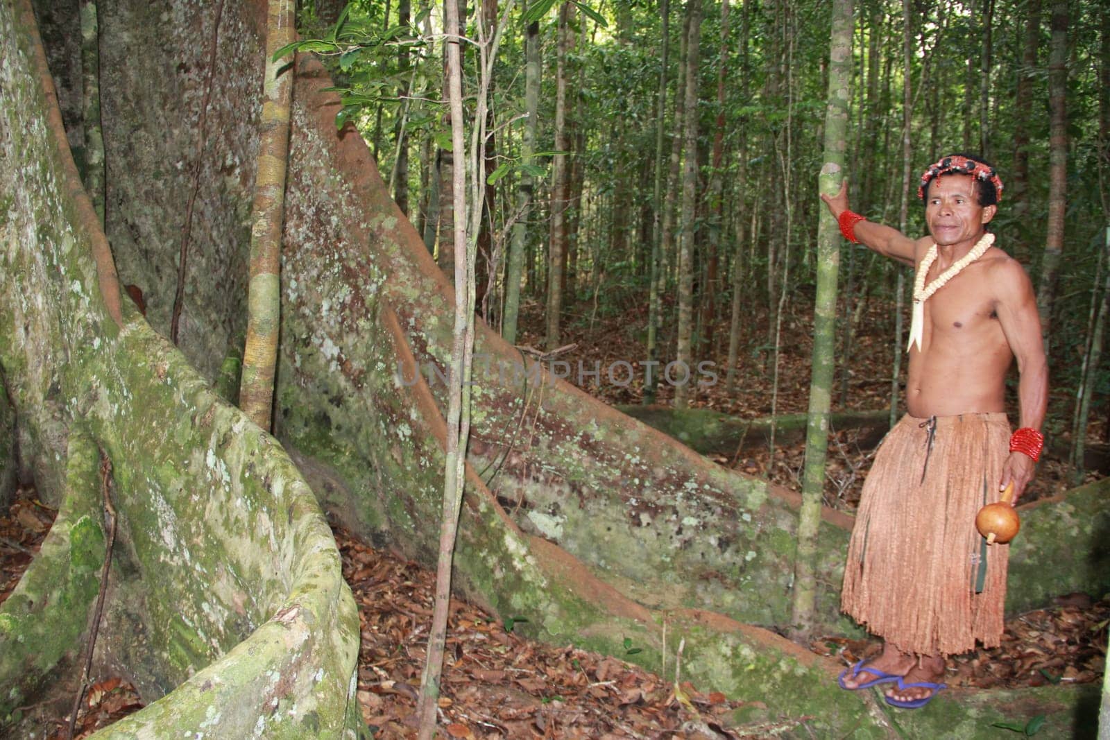 porto seguro, bahia / brazil - october 20, 2012: Indians of the Pataxo etina are seen in the Monte Pascoal National Park in Porto Seguro.