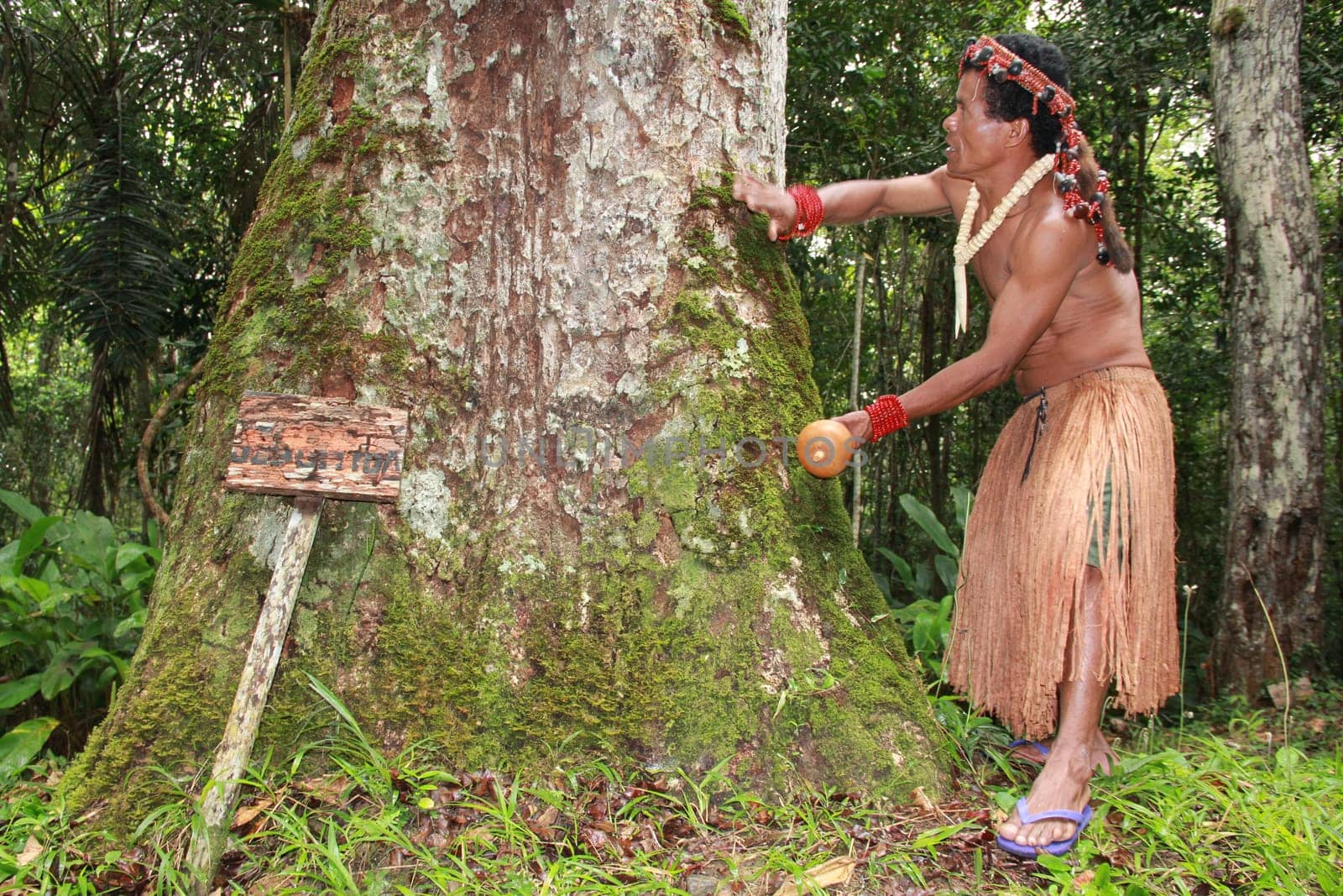 porto seguro, bahia / brazil - october 20, 2012: Indians of the Pataxo etina are seen in the Monte Pascoal National Park in Porto Seguro.