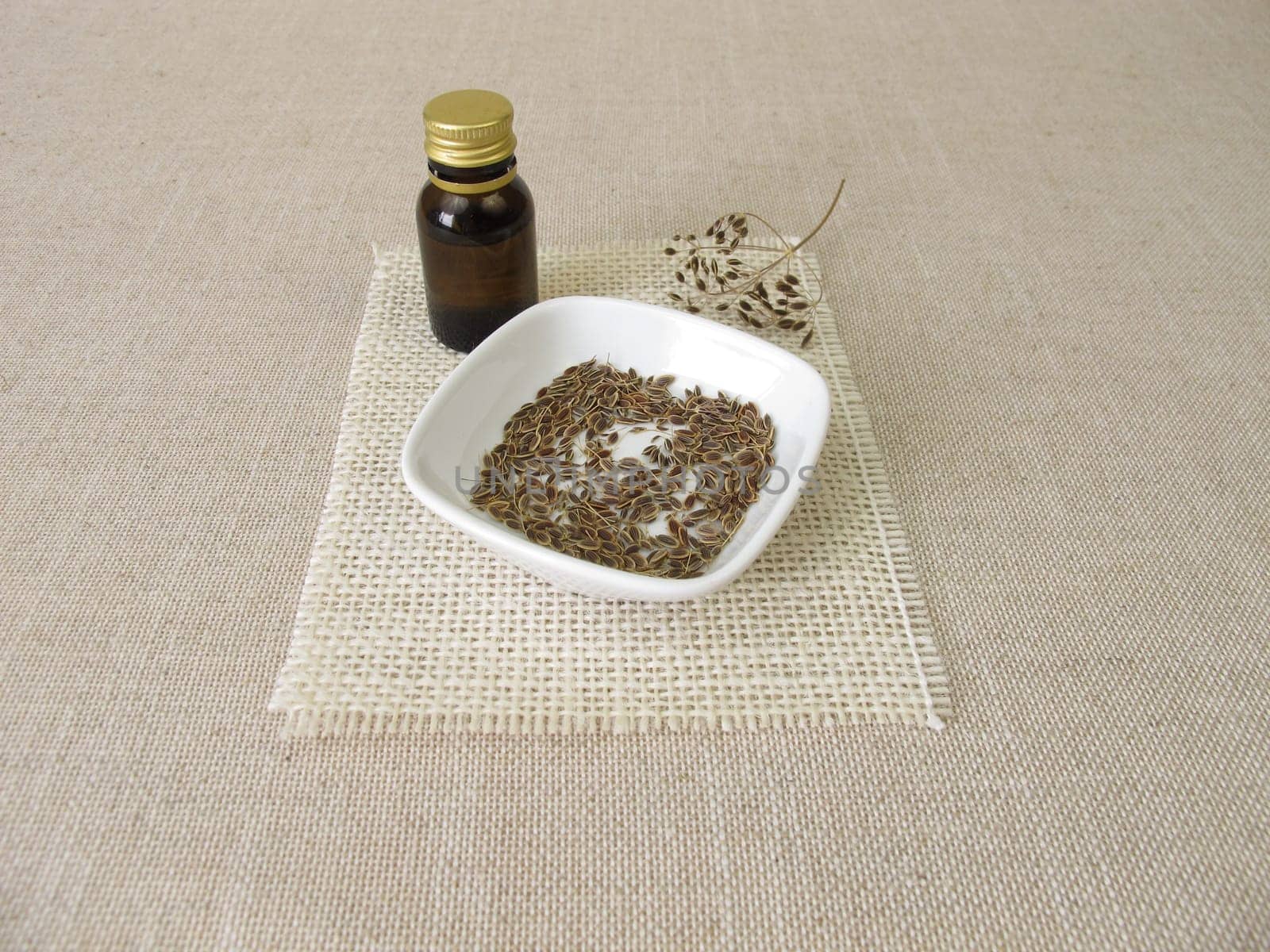 Essential dill oil in a bottle and dill seeds in a bowl