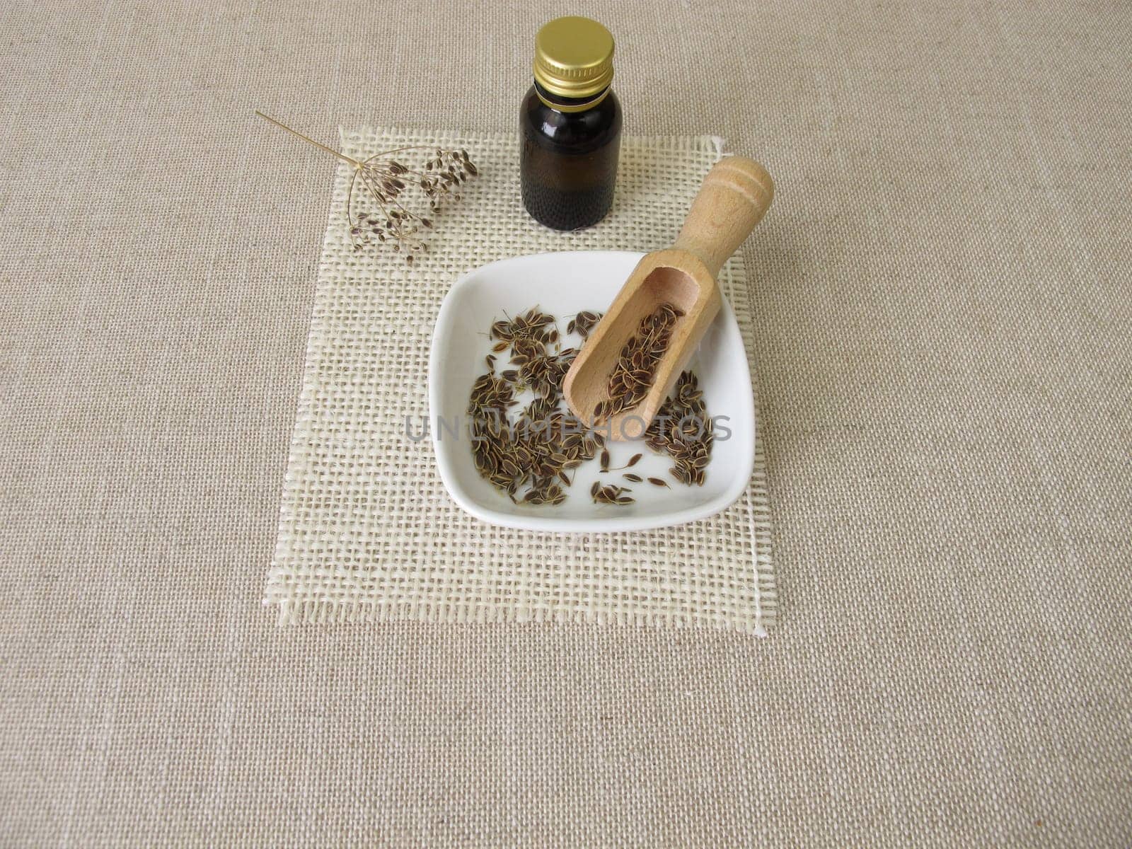 Essential dill oil in a bottle and dill seeds in a bowl