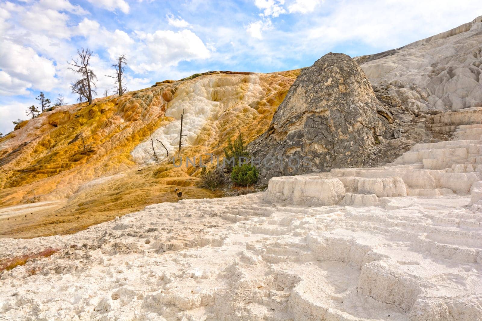 Colorful Deposits on Limestone Terraces on Mammoth Hits Springs in Yellowstone National Park in Wyoming