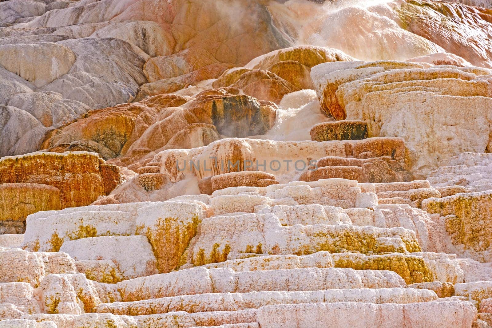 Hot Water Rushing Down Limestone Terraces at Mammoth Hot Springs in Yellowstone National Park in Wyoming