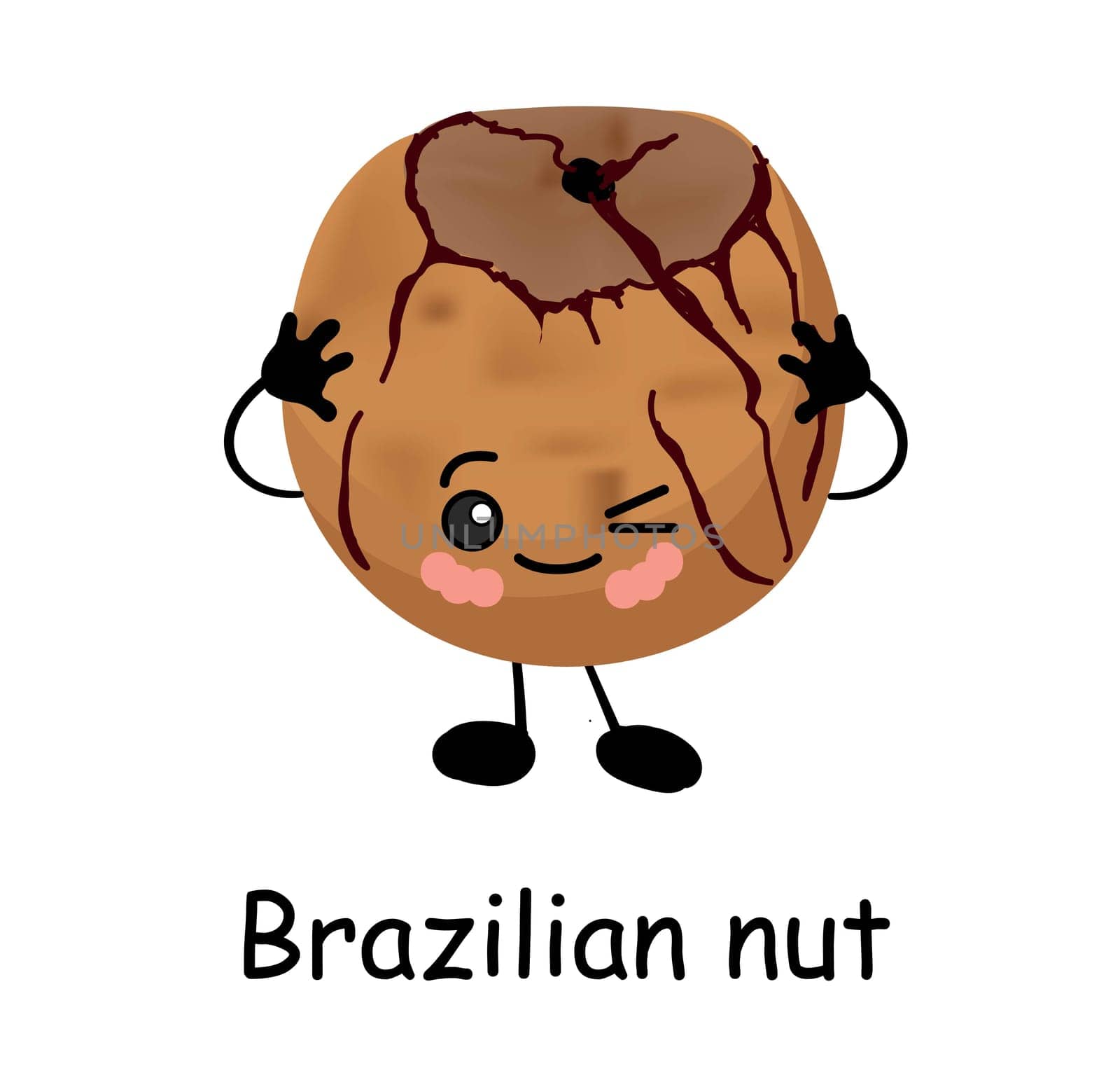 Brazilian nut. Vector illustration. Walnut character isolated on white background.