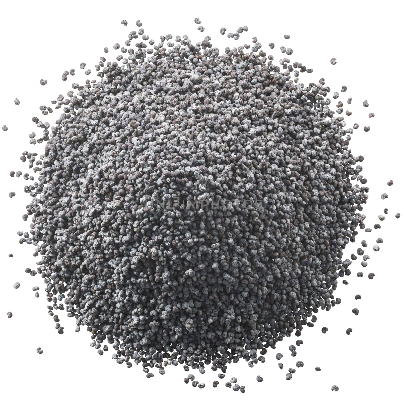 Pile of grey-bluish poppy seeds (Papaver somniferum), isolated, top view