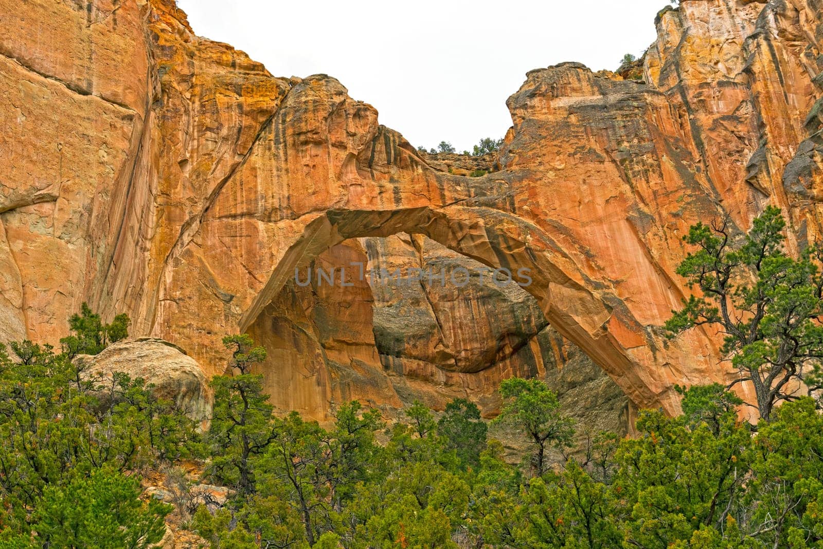 La Ventana Natural Arch Hiding in a Sandstone Canyon in El Malpais National Monument in New Mexico