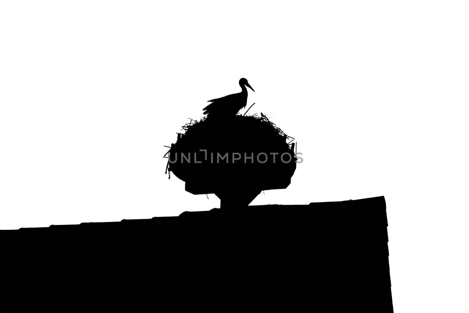 Silhouette of rural animal. The bird on the roof is also metaphor and symbol for birth of newborn babies. Endangered wildlife species.