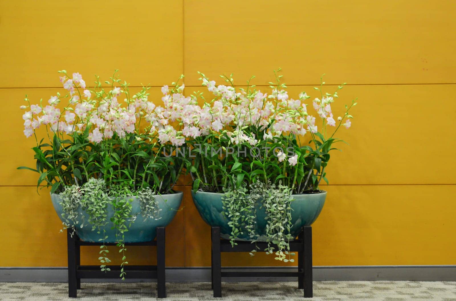 modern mixed flower composition
