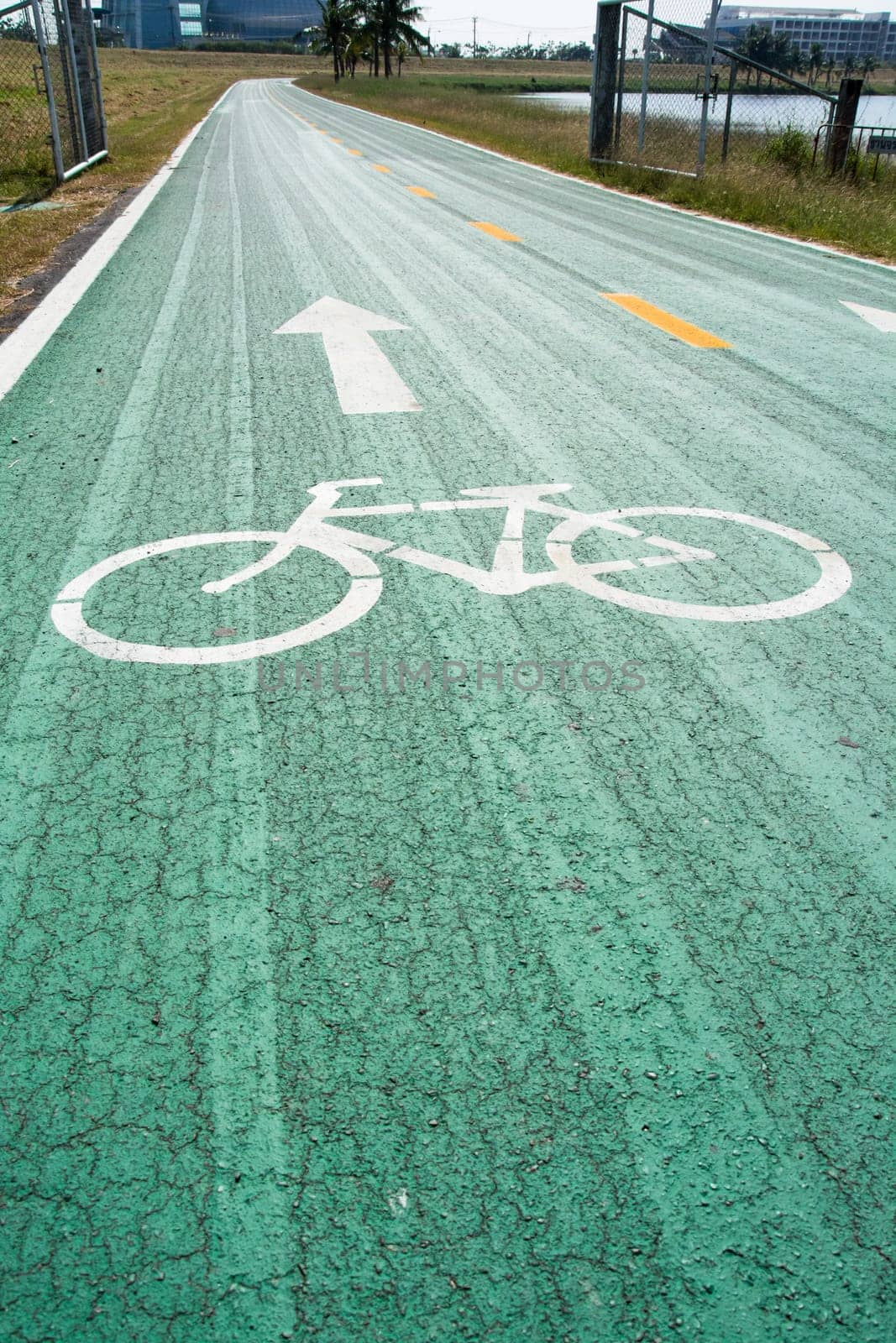 Green bike lanes Healthy Lifestyle