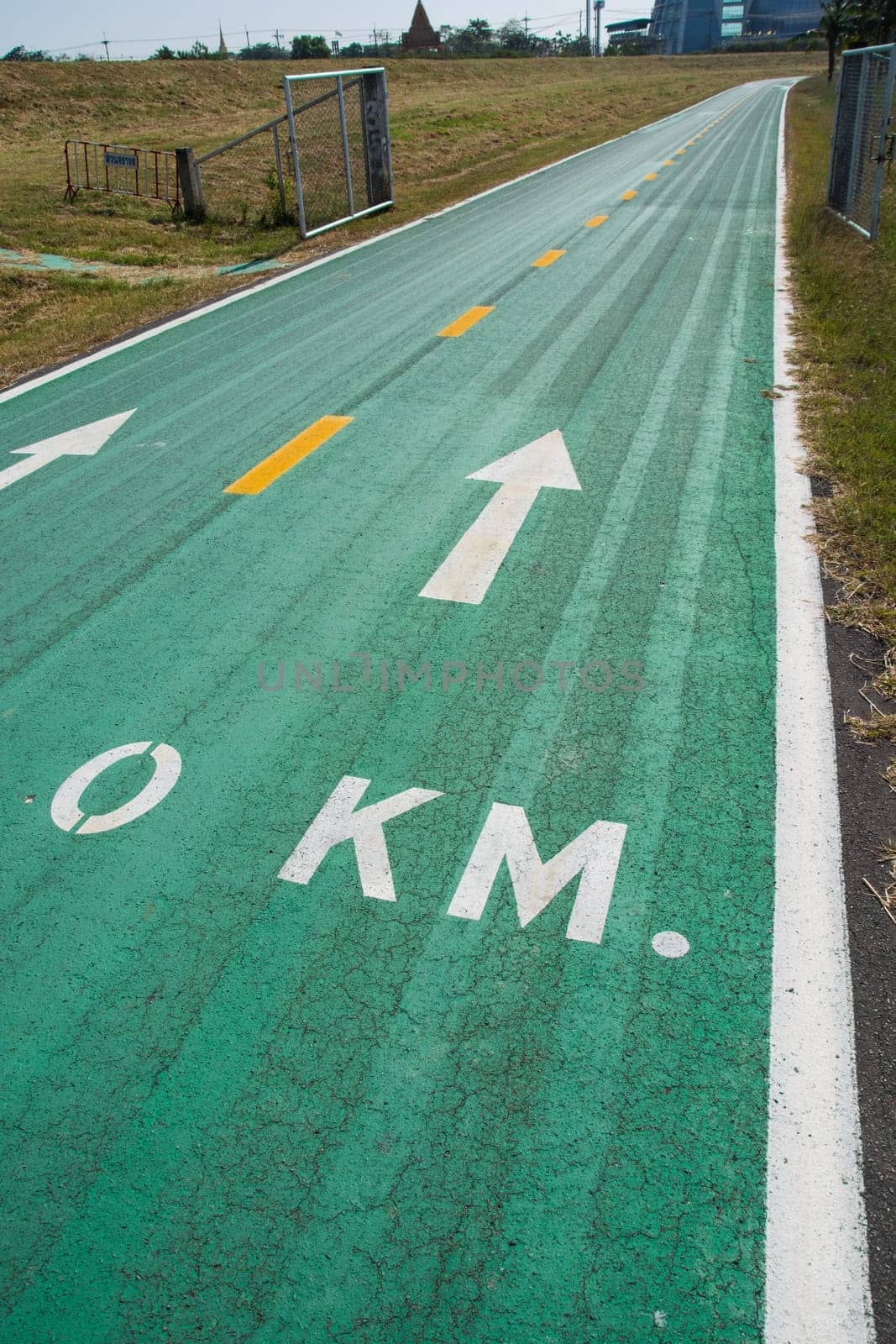 Green bike lanes Healthy Lifestyle
