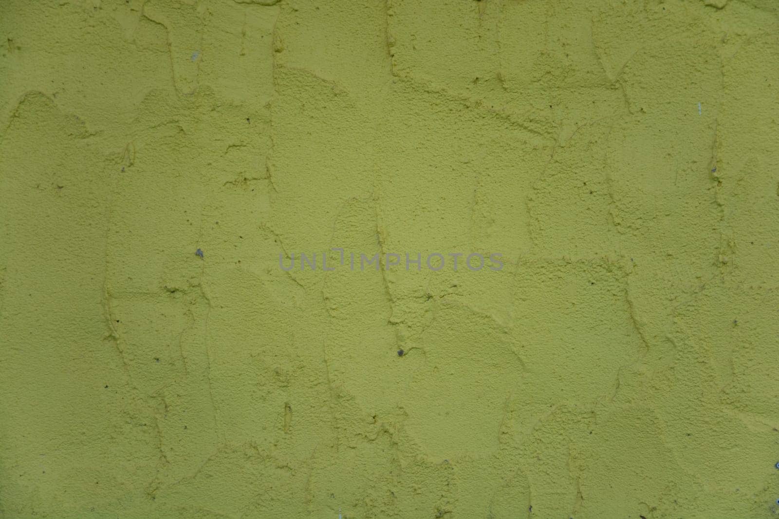 Olive wall texture