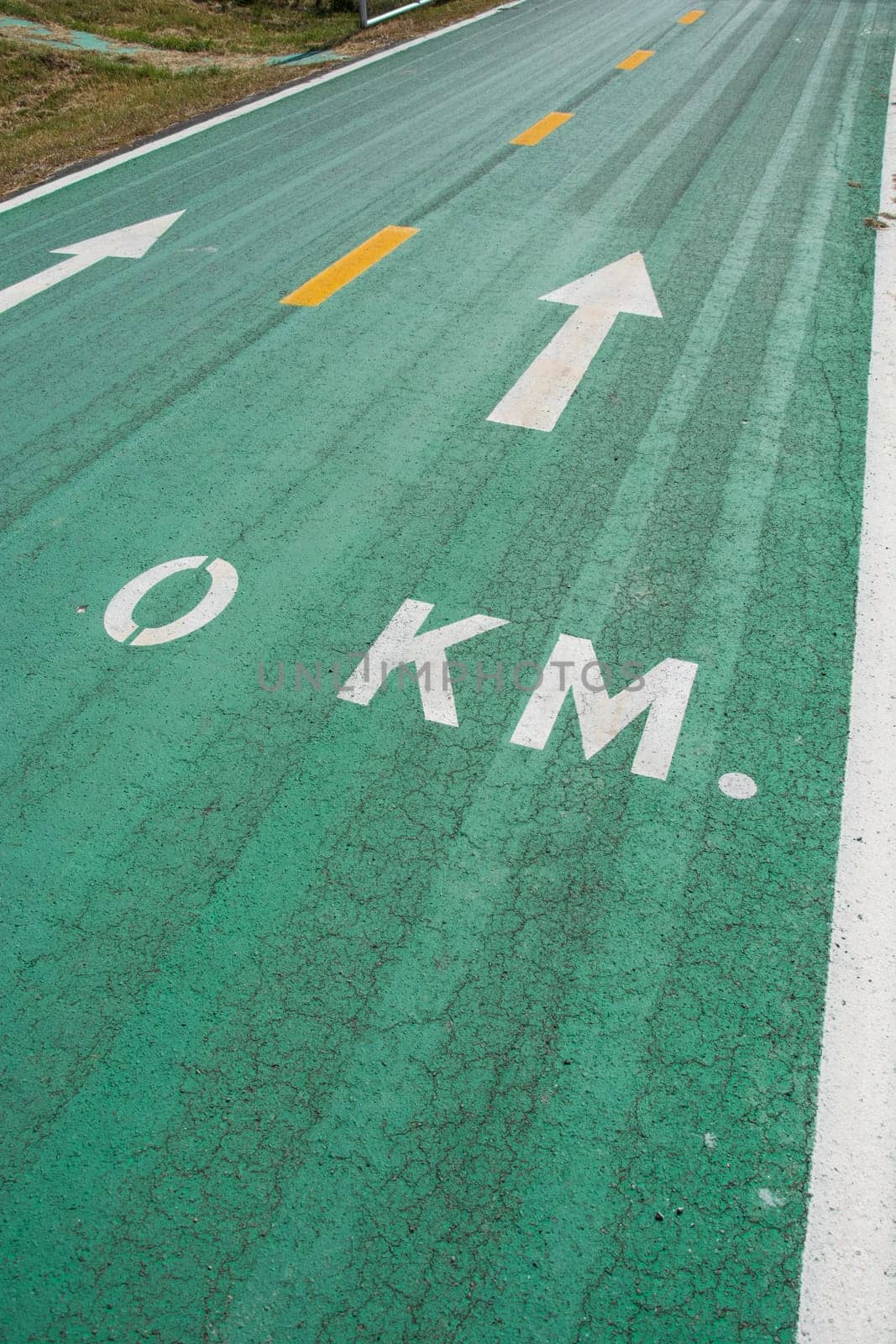 Green bike lanes Healthy Lifestyle
