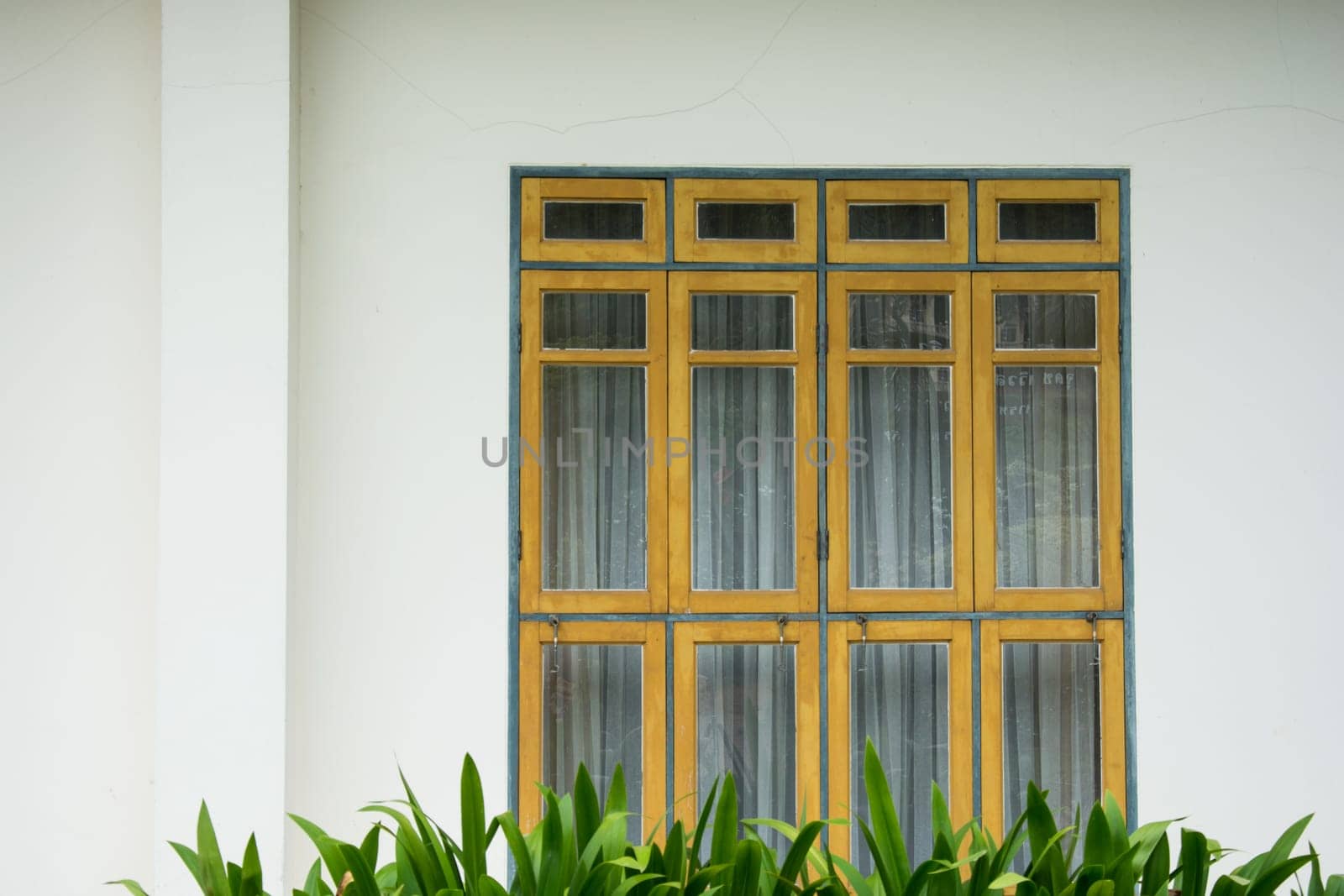 Artistic glass doors