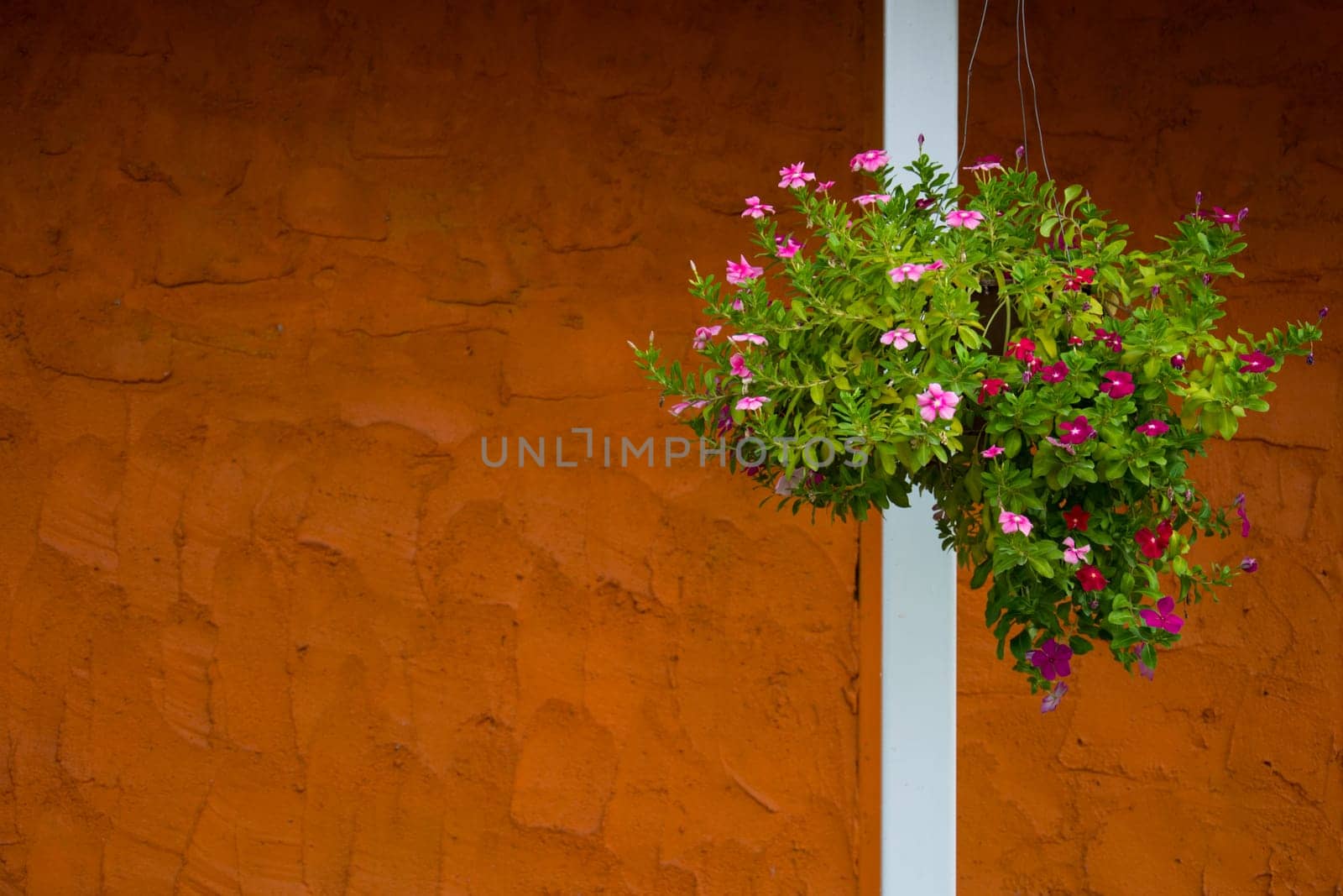 Window With Flower Basket On Orange Wall