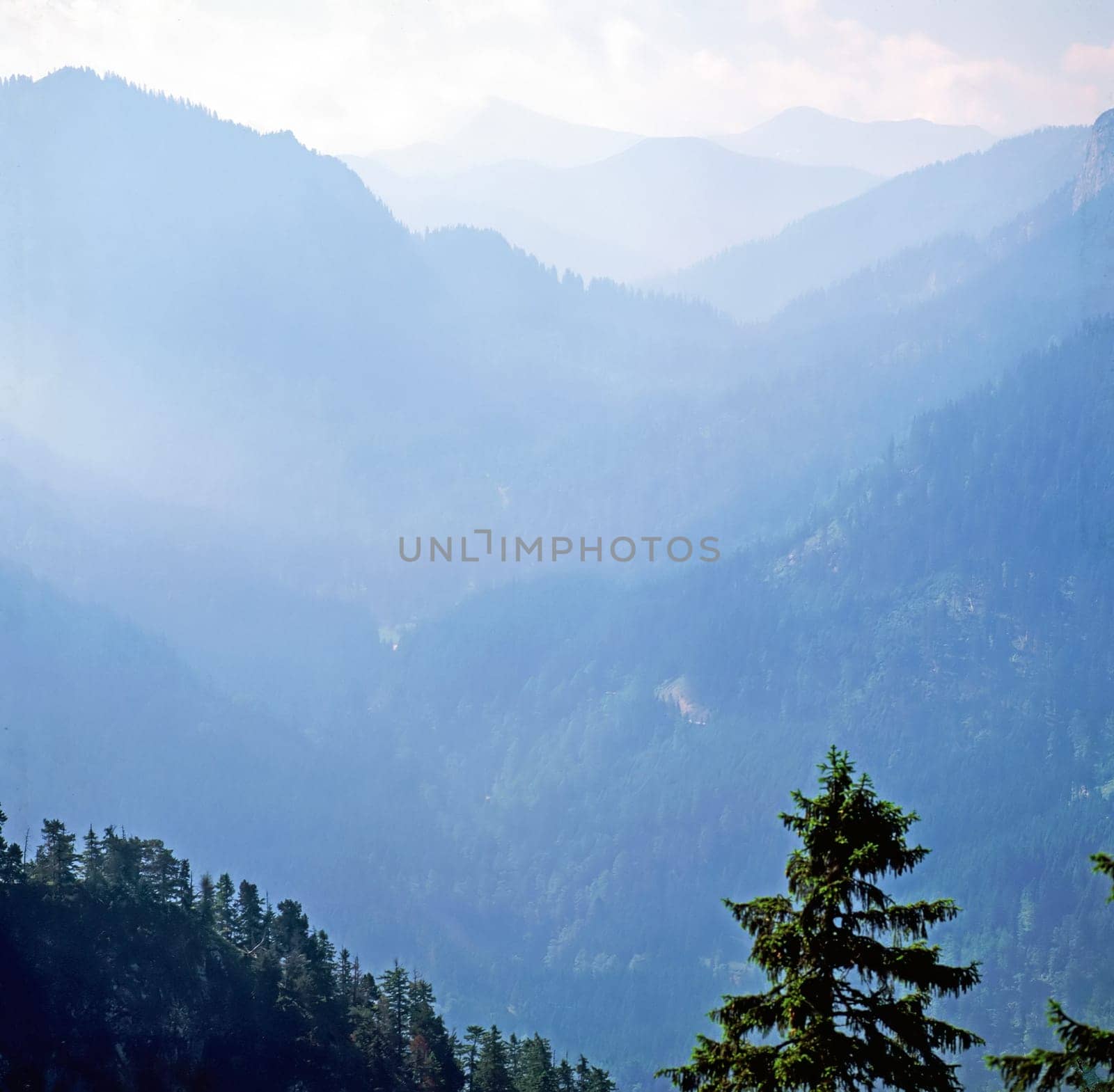Bavarian Alps in fog, Germany