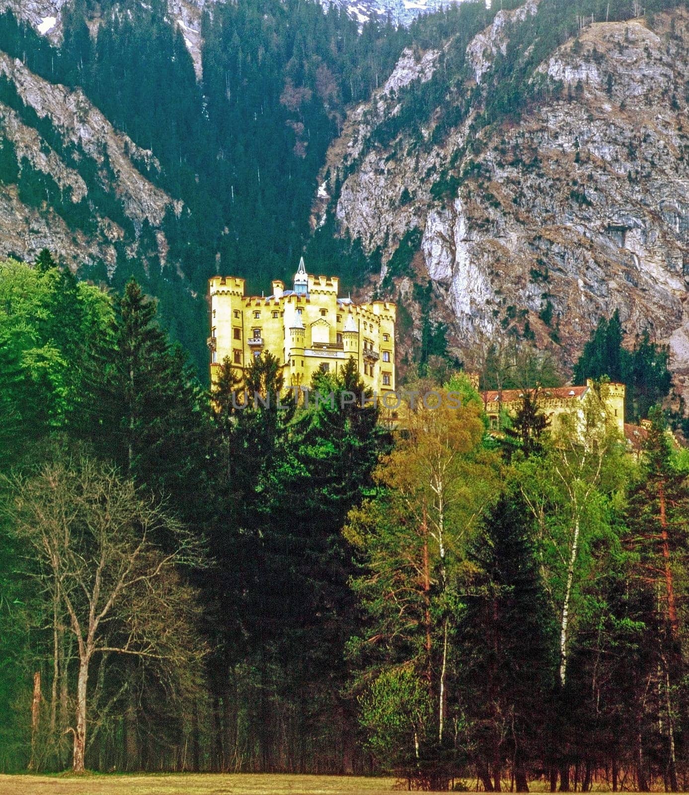 Castle Hohenschwangau, Germany