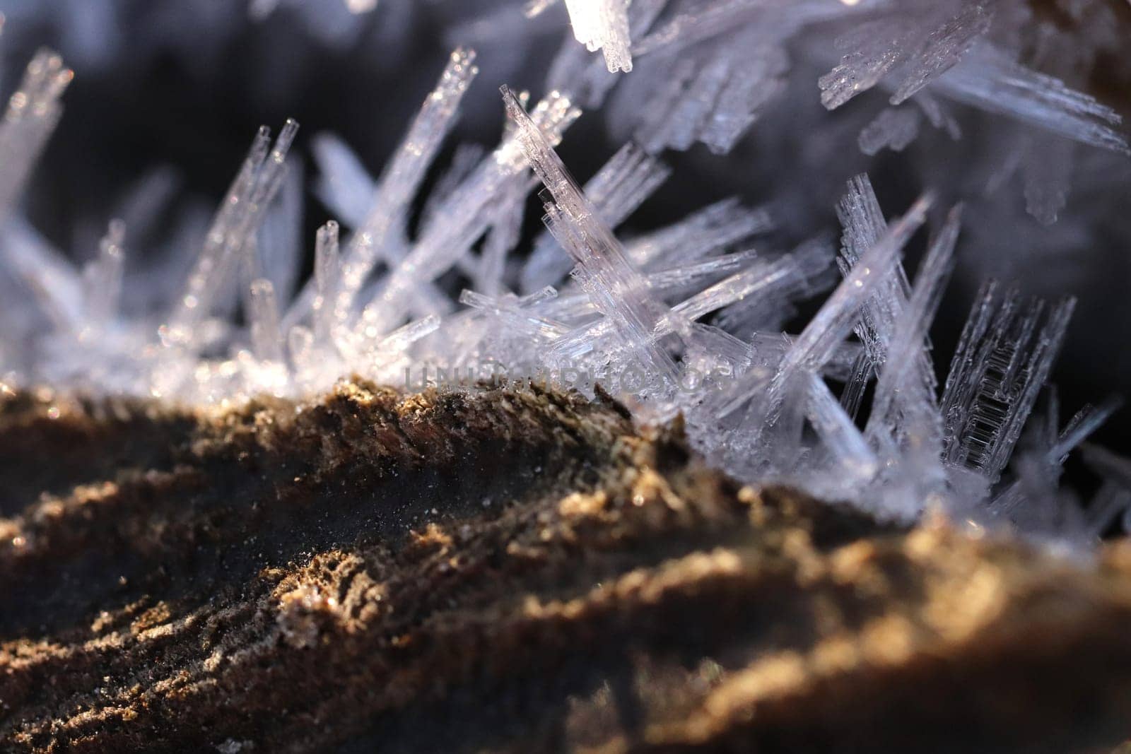 Frost Wood with Frosty Crystals Macro Closeup Background