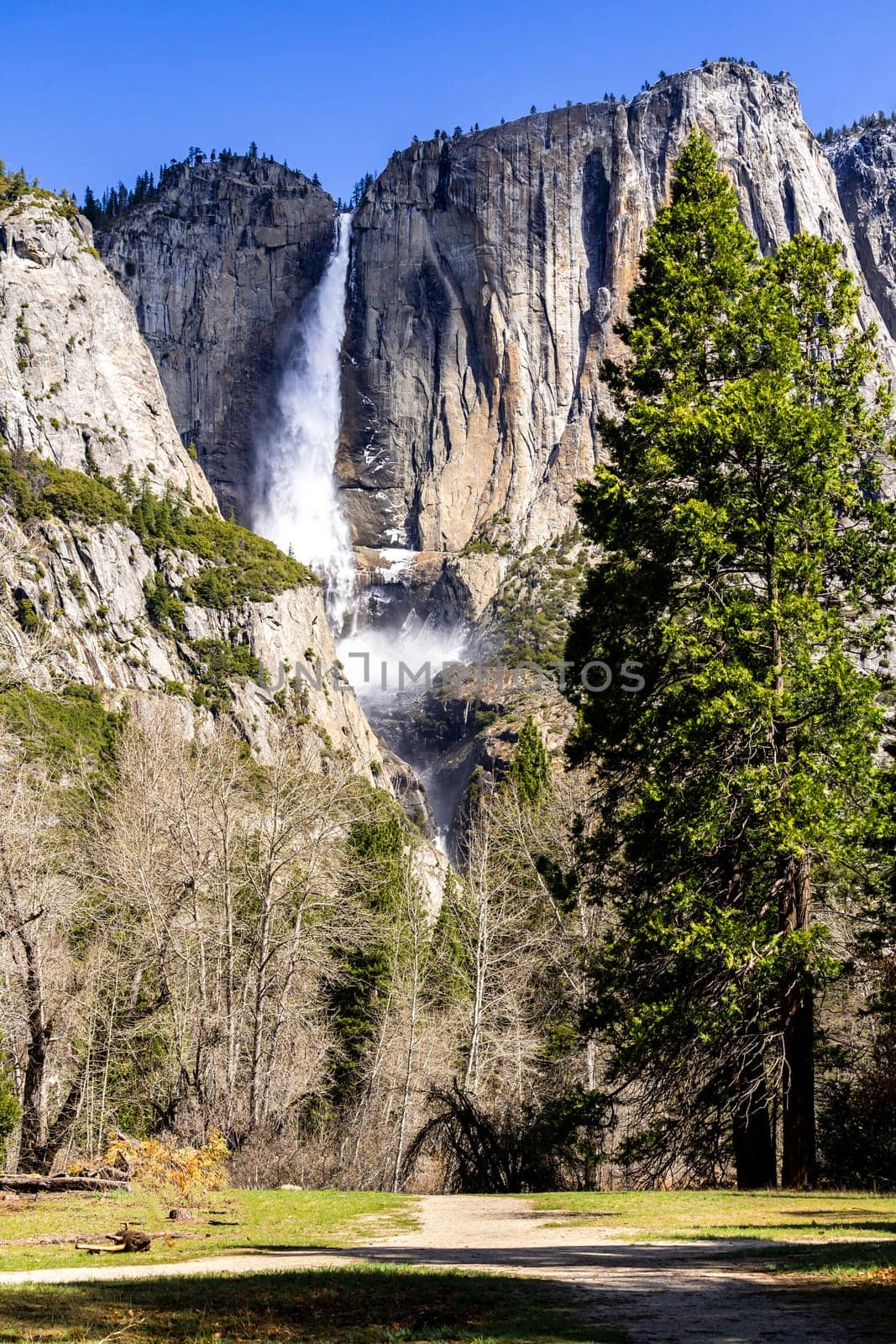 Yosemite Falls waterfall in Yosemite National Park San Francisco in North California United States. USA National park landmark and famous tourist spot for travel destination and adventure concept.