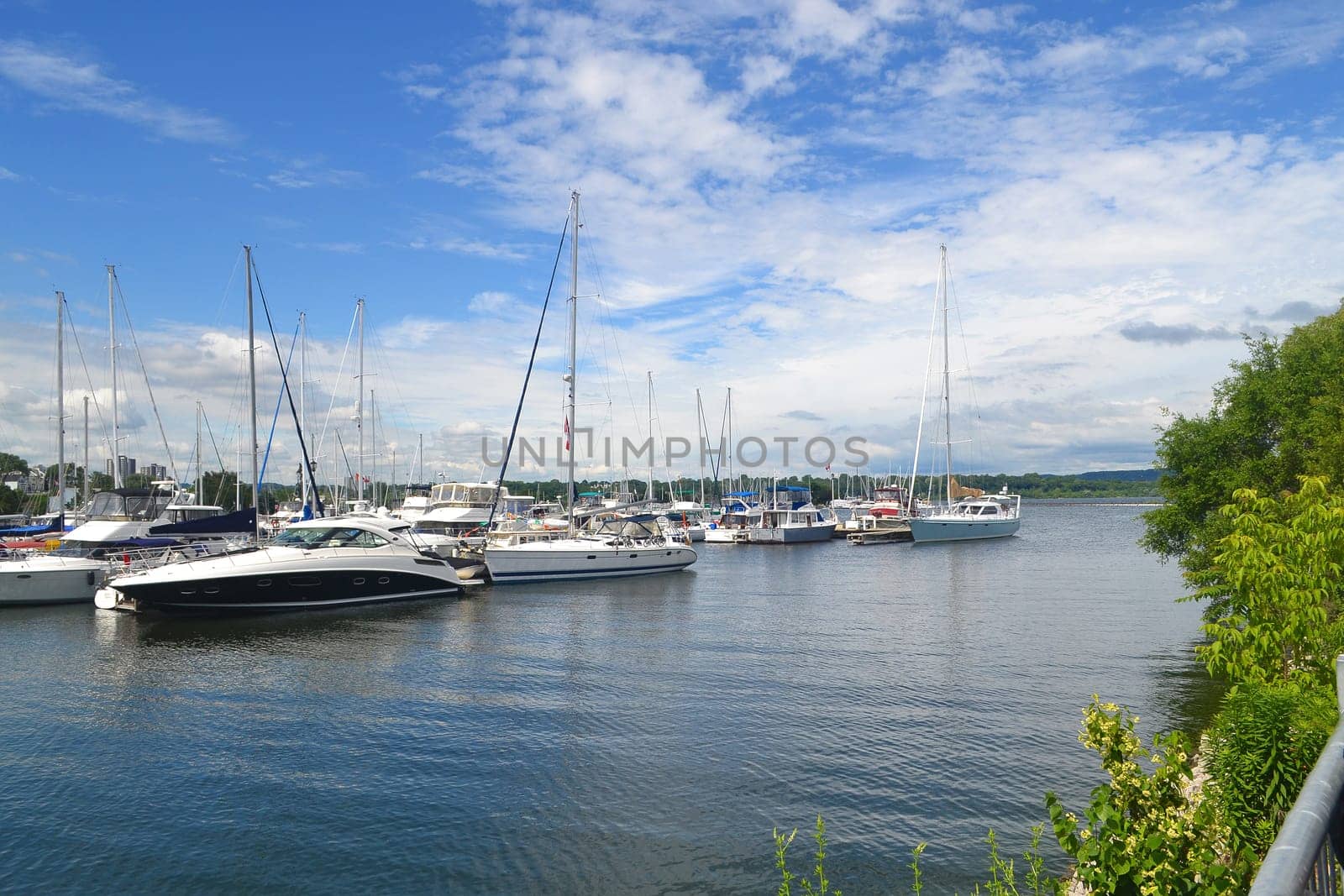The harbor of Hamilton with many sailboats on a bright sunny day.