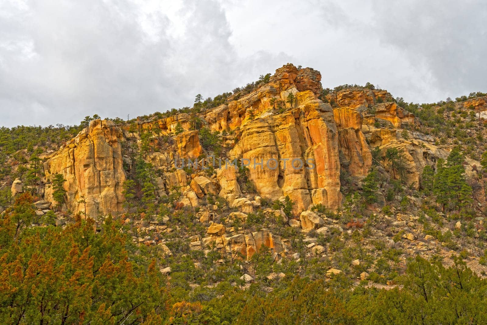 Sandstone Cliffs Rising out of the Desert in the La Ventana Area of El Malpais National Monument in New Mexico